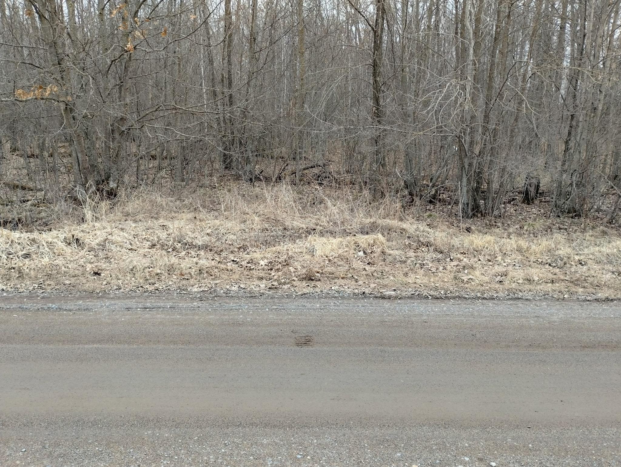 View of Land at XX 260th Street, Milaca MN 56353, Milaca - Mike Wilen | Minnesota Team Real Estate