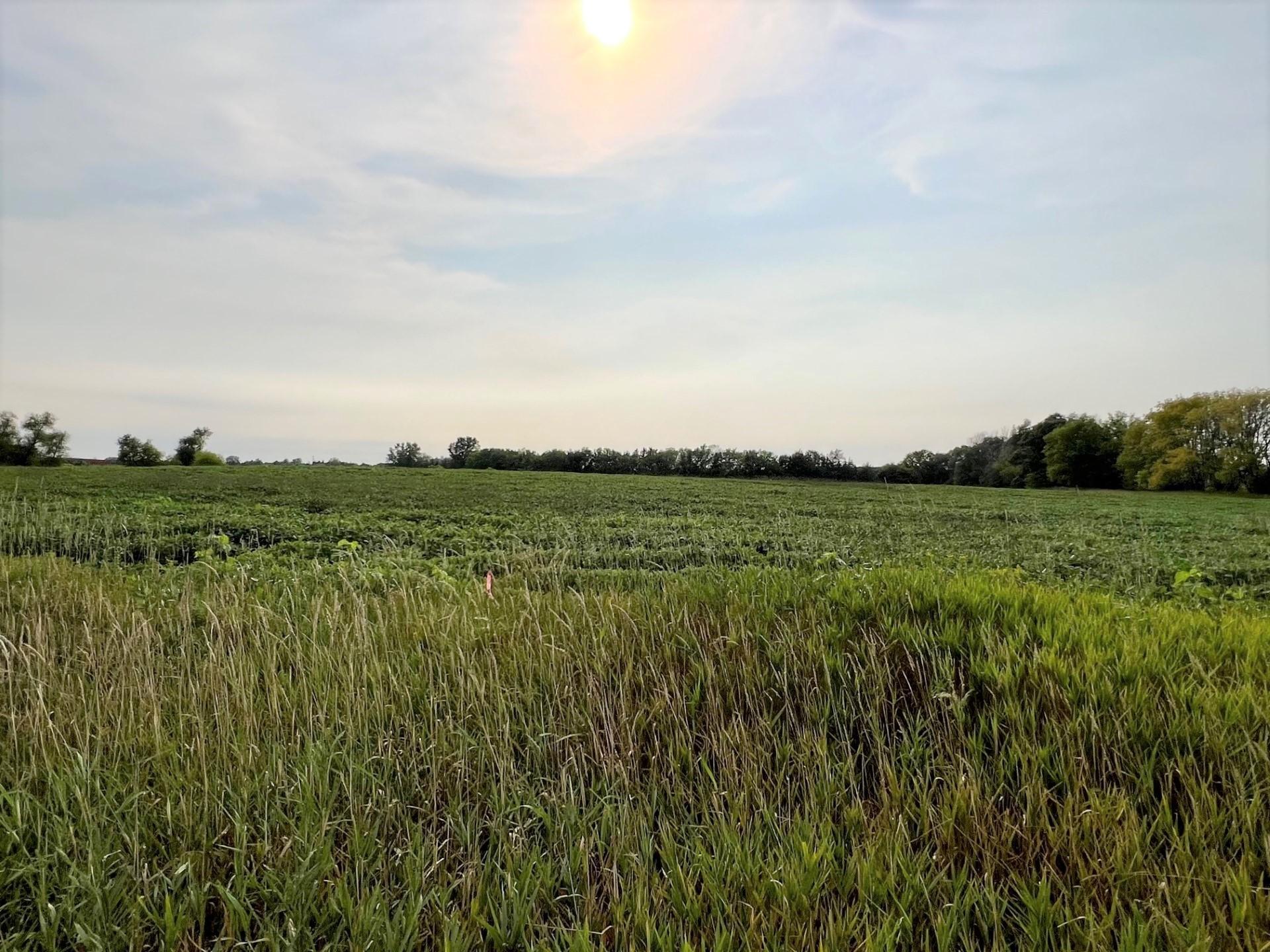 View of Land at XXXXX Jeffrey Ave N - Parcel B, Hugo MN 55038, Hugo - Mike Wilen | Minnesota Team Real Estate