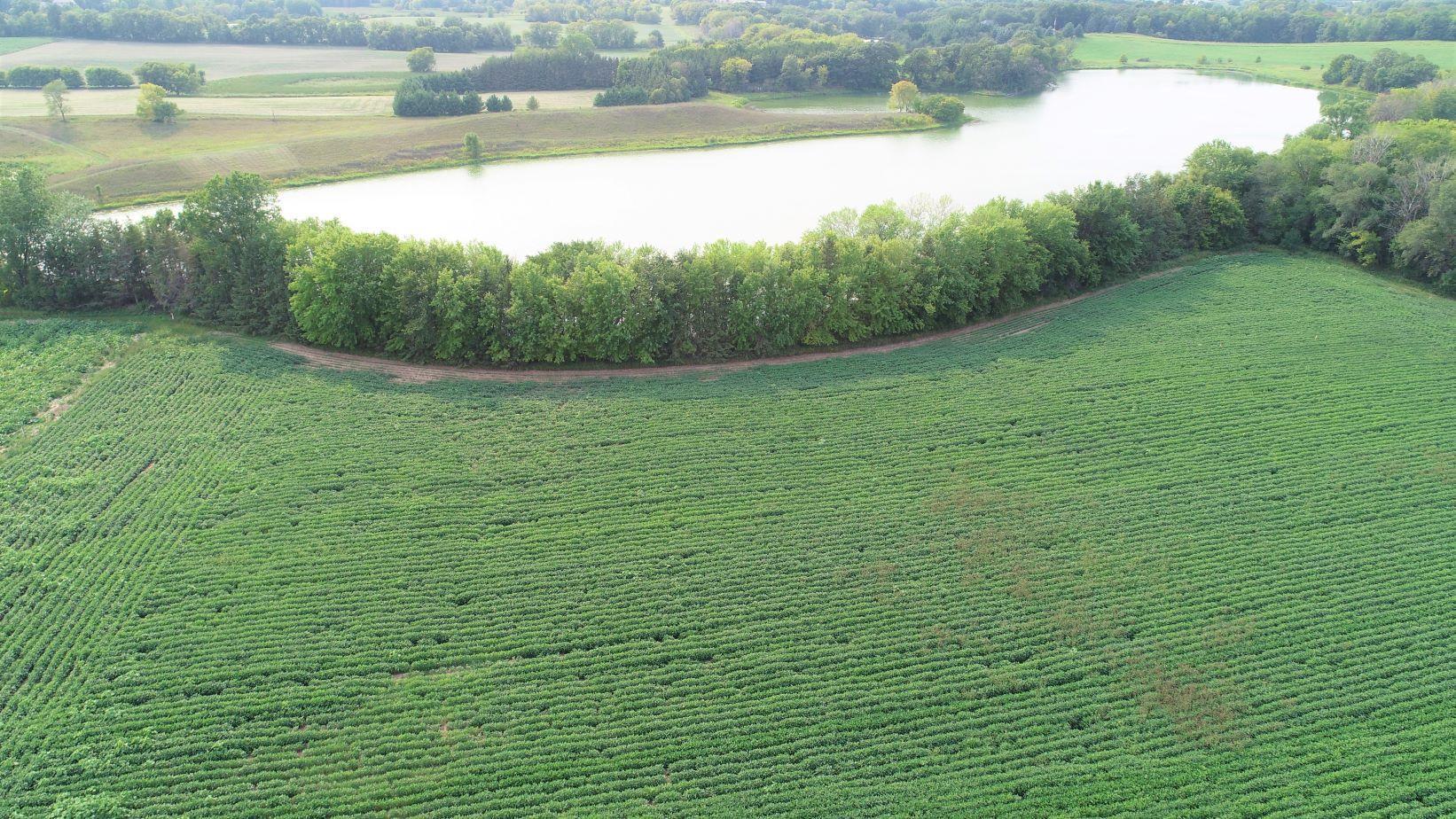 View of Land at XXXXX Jeffrey Ave N - Parcel B, Hugo MN 55038, Hugo (4 of 5) - Mike Wilen | Minnesota Team Real Estate