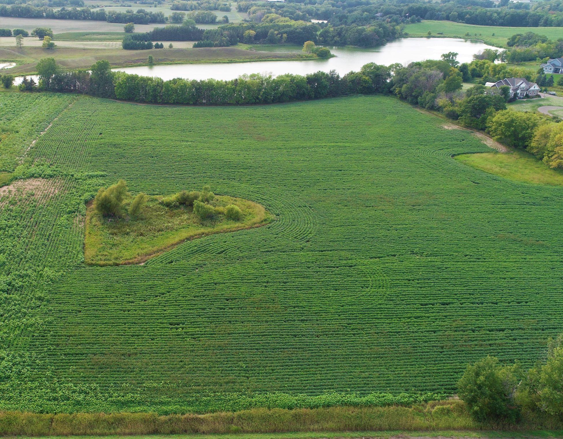 View of Land at XXXXX Jeffrey Ave N - Parcel B, Hugo MN 55038, Hugo (5 of 5) - Mike Wilen | Minnesota Team Real Estate