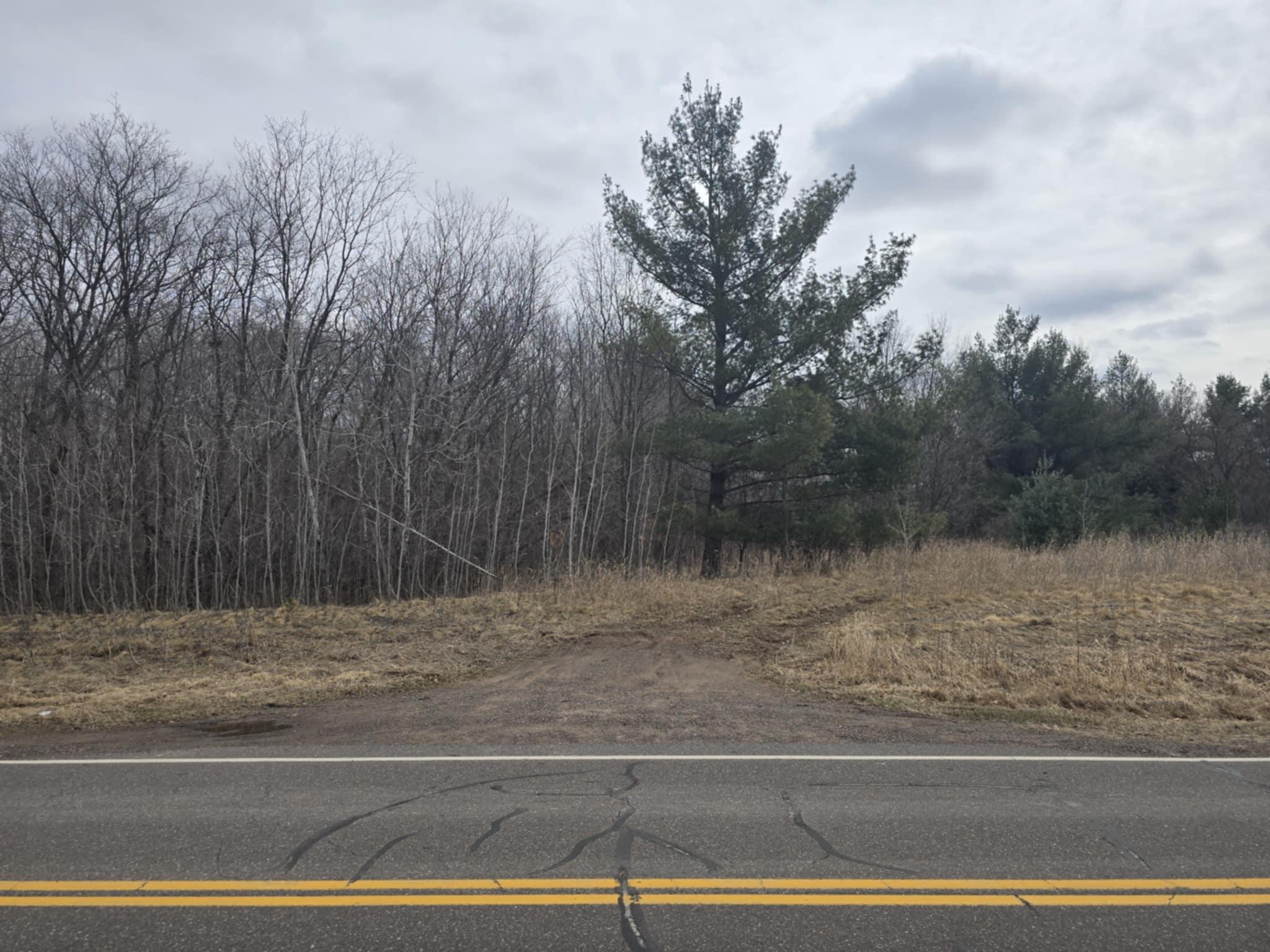 View of Land at TBD Skogman Lake Rd, Harris MN 55032, Harris - Mike Wilen | Minnesota Team Real Estate
