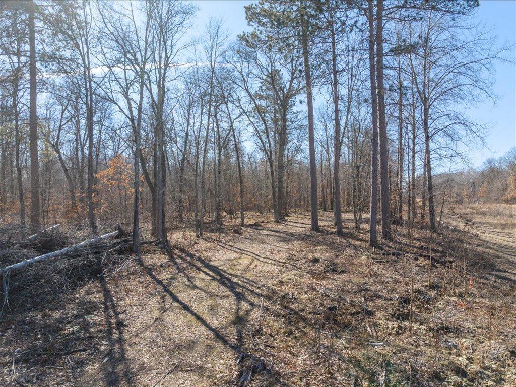 View of Land at TBD Lot 1 & Lot 2 ParWest Drive ParWest Drive, Emily MN 56447, Emily (13 of 13) - Mike Wilen | Minnesota Team Real Estate