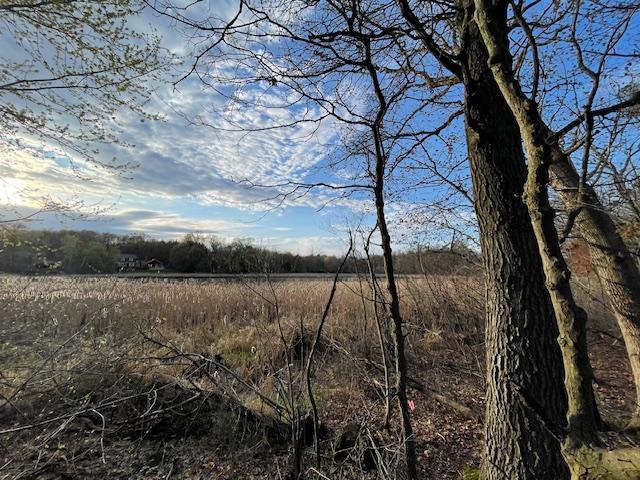 View of Land at xxx Bryant Avenue, Mahtomedi MN 55115, Mahtomedi - Mike Wilen | Minnesota Team Real Estate