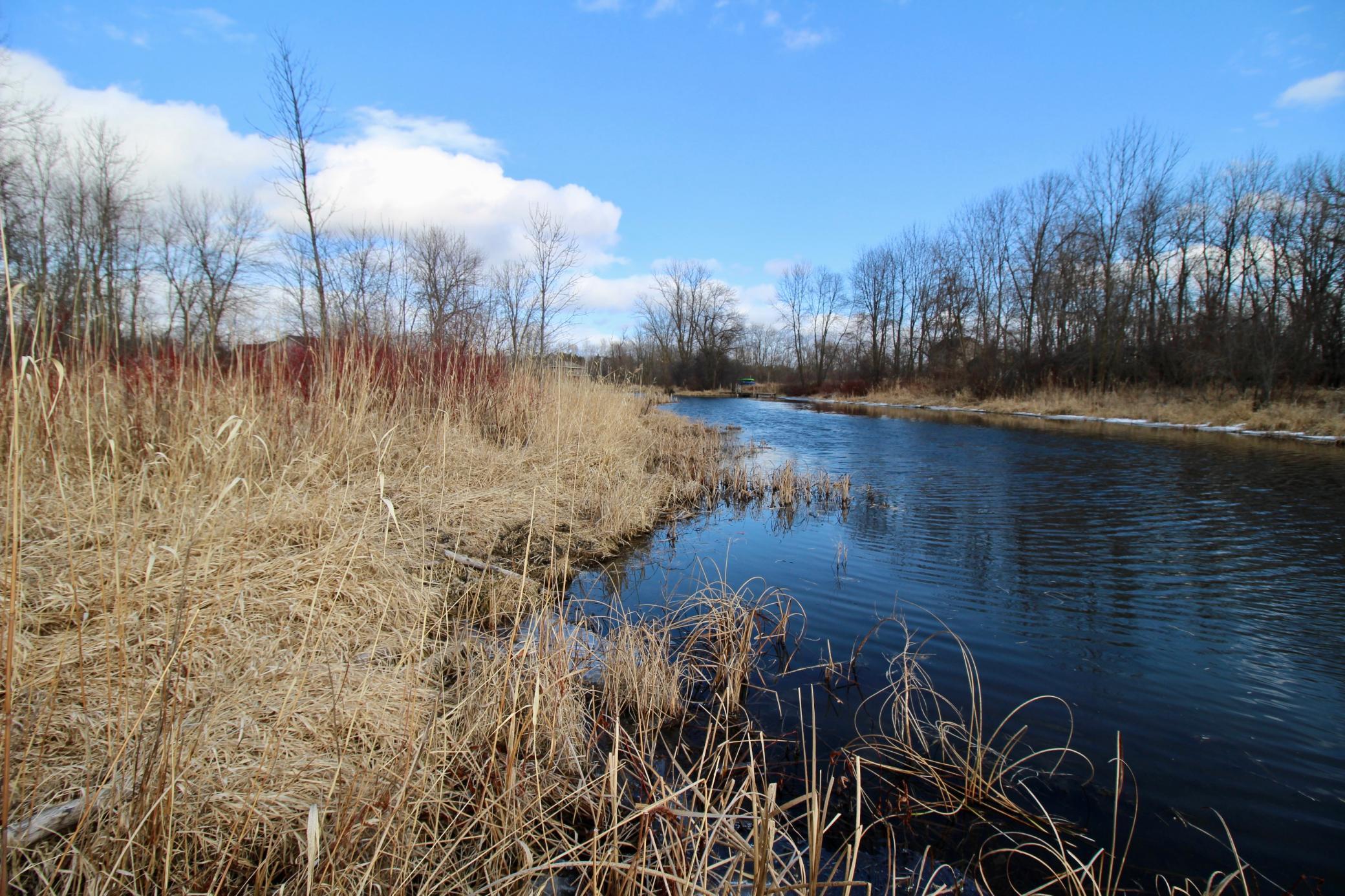 View of Land at TBD Rush Lake Road, Rush City MN 55069, Rush City - Mike Wilen | Minnesota Team Real Estate