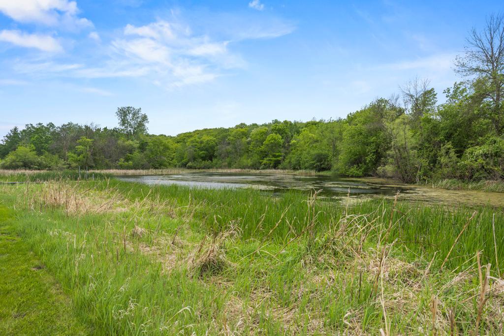 View of Residential at 2591 Carver Avenue, Maplewood MN 55119, Maplewood (61 of 75) - Mike Wilen | Minnesota Team Real Estate