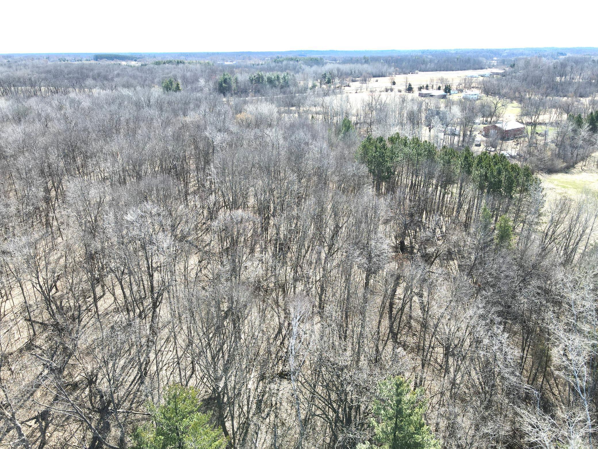 View of Land at TBD-10AC 487th Street, Nessel Twp MN 55069, Nessel Twp - Mike Wilen | Minnesota Team Real Estate
