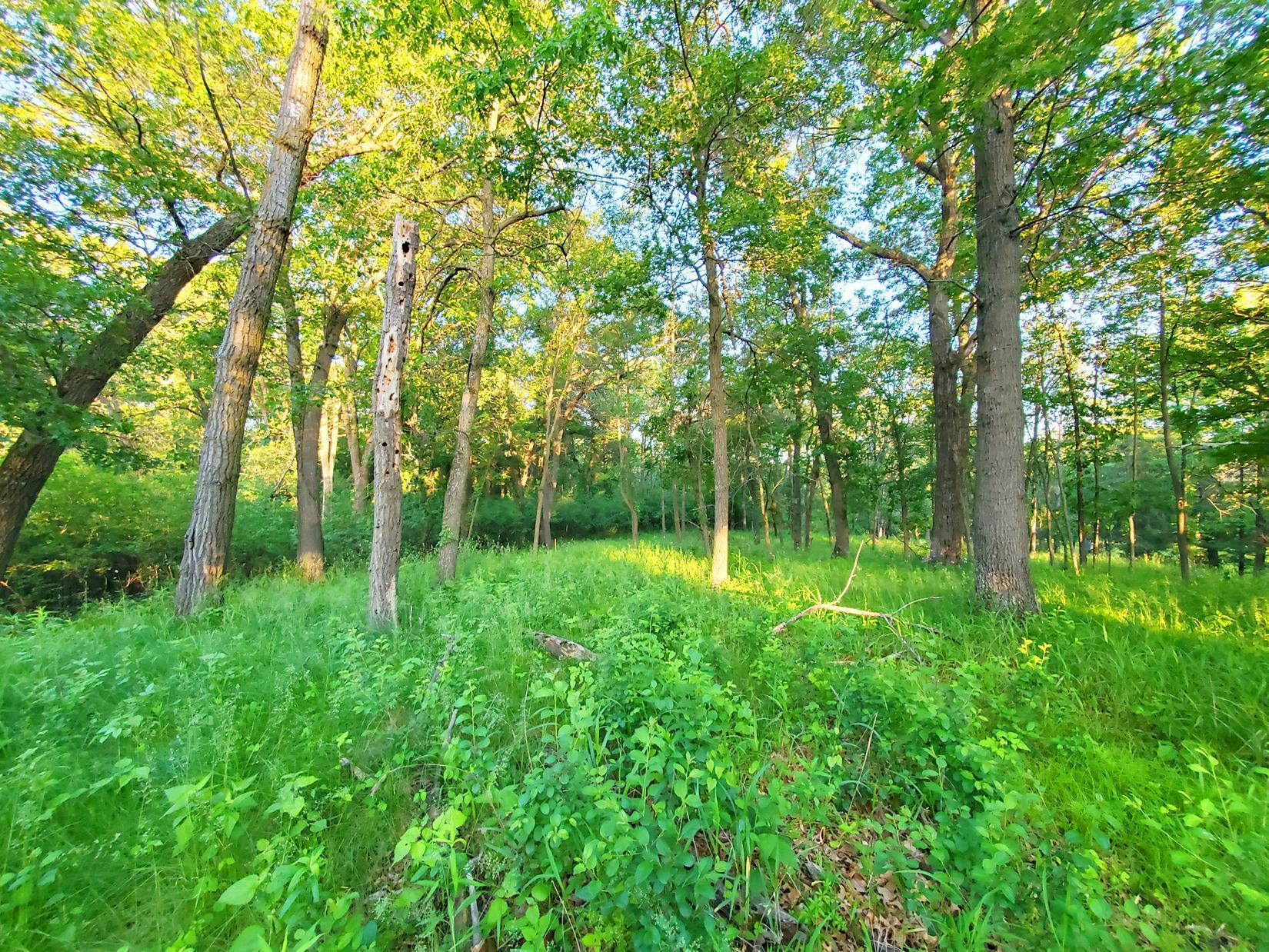 View of Land at XXX Lot 3 Chestnut Street, Marine On Saint Croix MN 55047, Marine On Saint Croix - Mike Wilen | Minnesota Team Real Estate