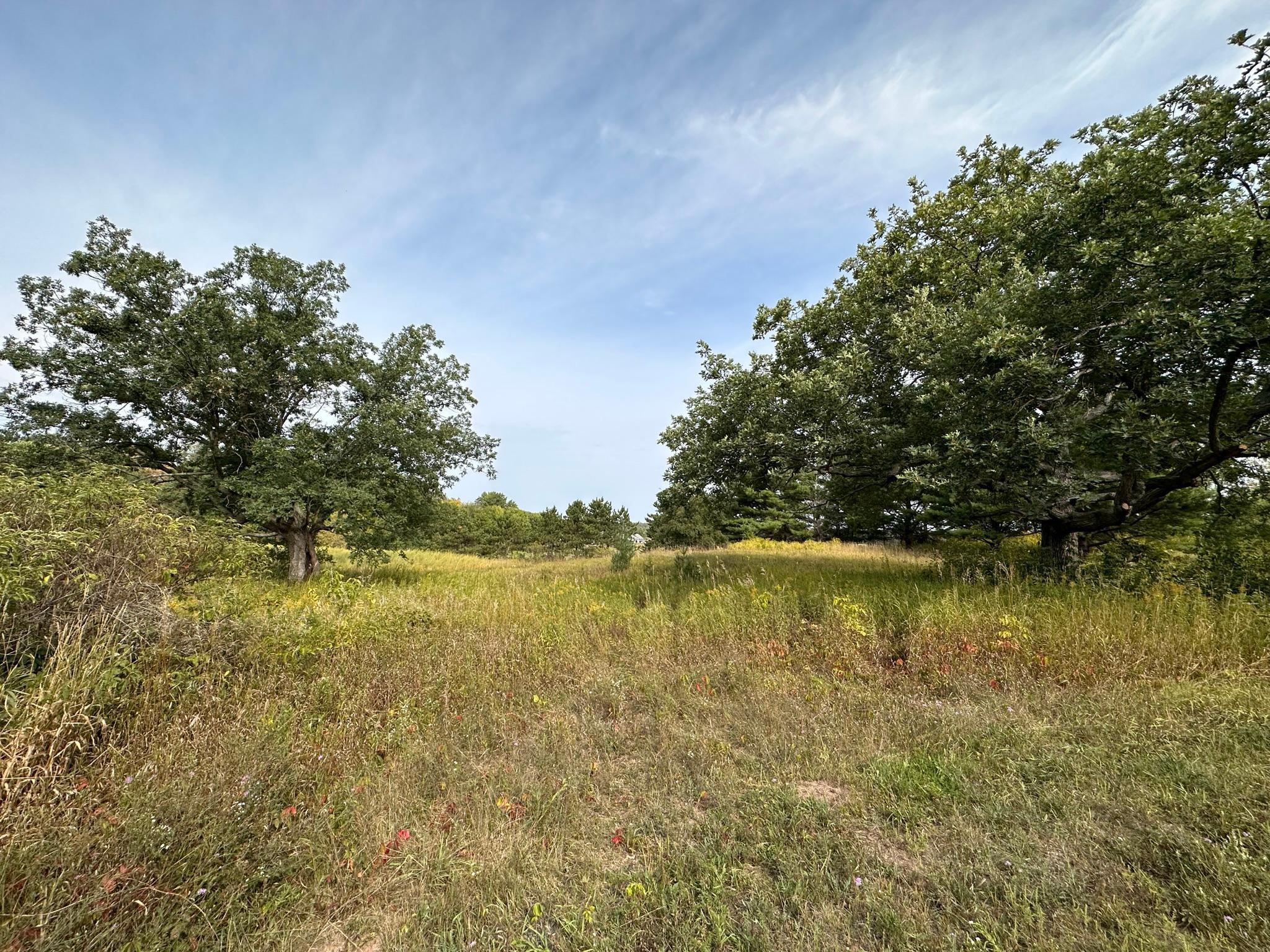 View of Land at 15XXX Oakhill Road, Scandia MN 55073, Scandia - Mike Wilen | Minnesota Team Real Estate