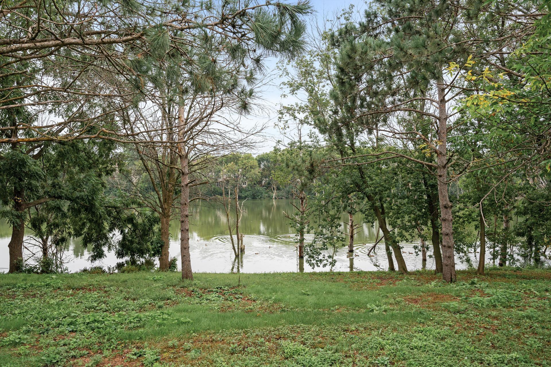 View of Residential at 15368 Chili Court, Rosemount MN 55068, Rosemount - Mike Wilen | Minnesota Team Real Estate