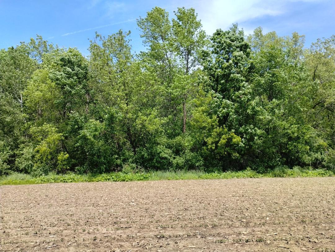 View of Land at 50XXX Heather Lane, Rush City MN 55069, Rush City - Mike Wilen | Minnesota Team Real Estate