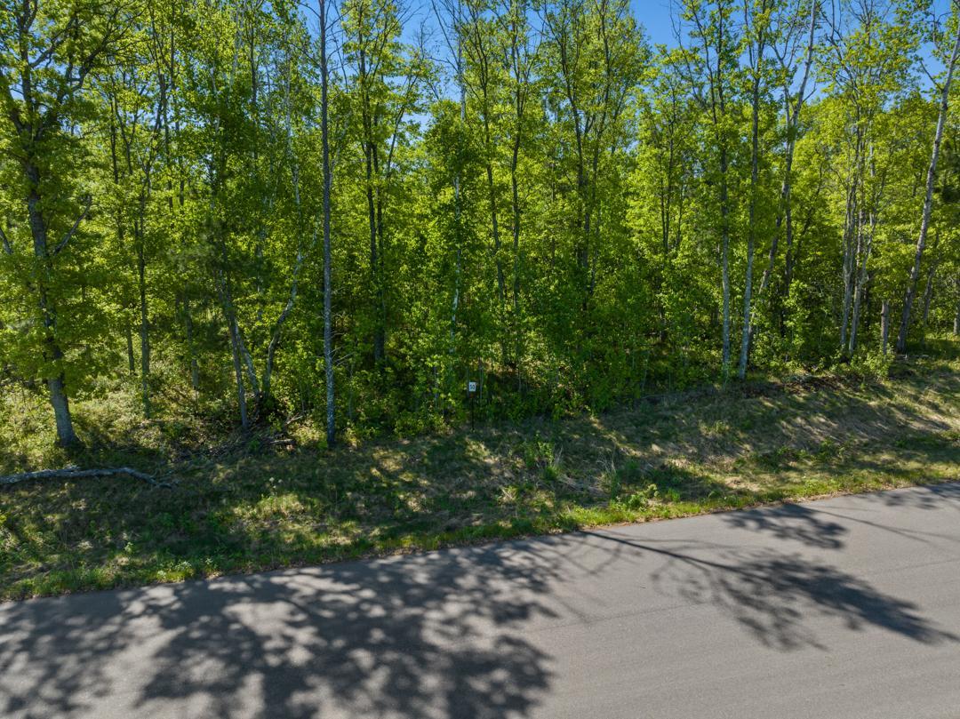 View of Land at Craguns Legacy Ridge Lot 50 3899 St Annes Court, Brainerd MN 56401, Brainerd (5 of 5) - Mike Wilen | Minnesota Team Real Estate