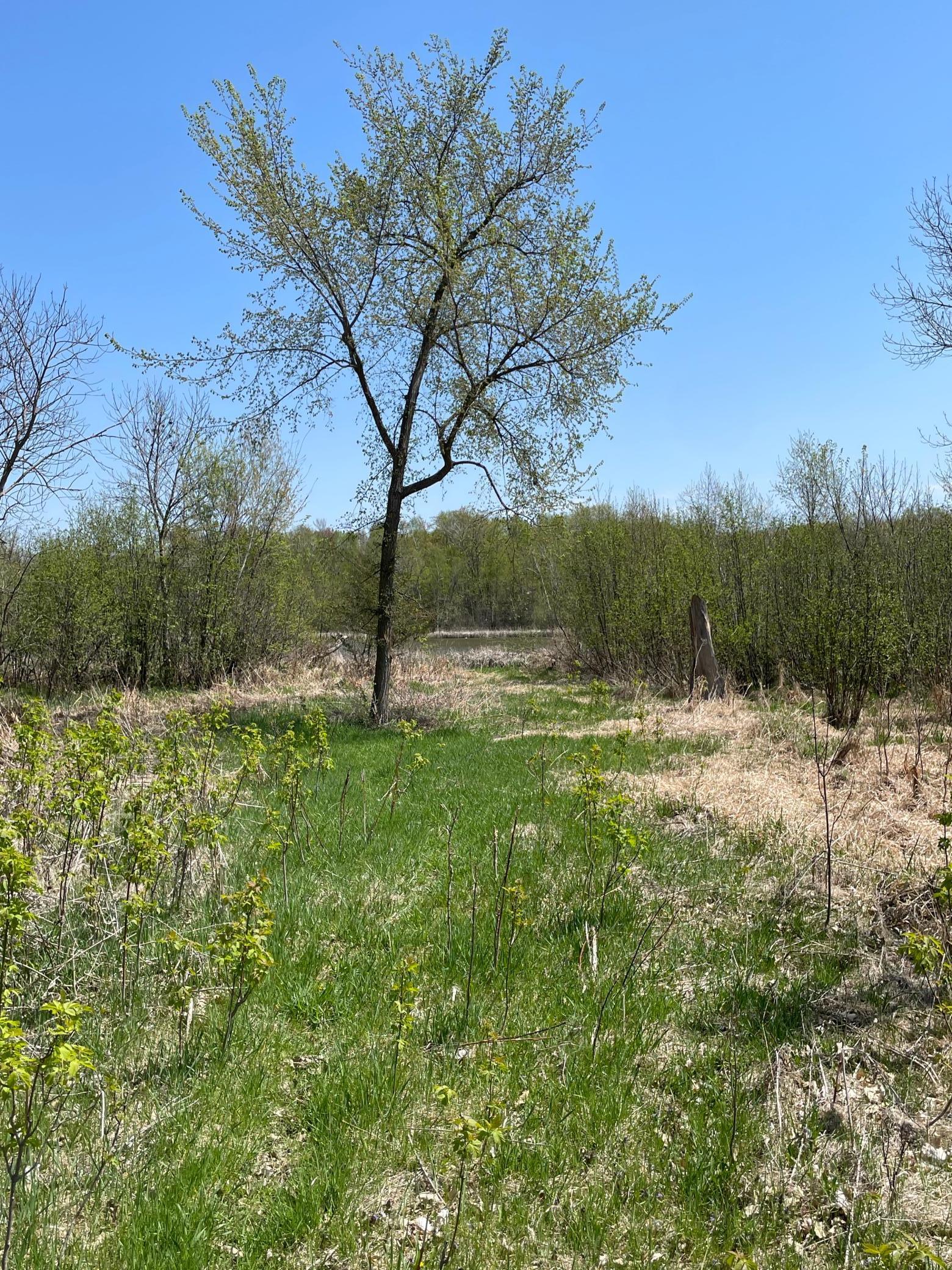View of Land at 1xx Stark Road, Harris MN 55032, Harris (8 of 21) - Mike Wilen | Minnesota Team Real Estate