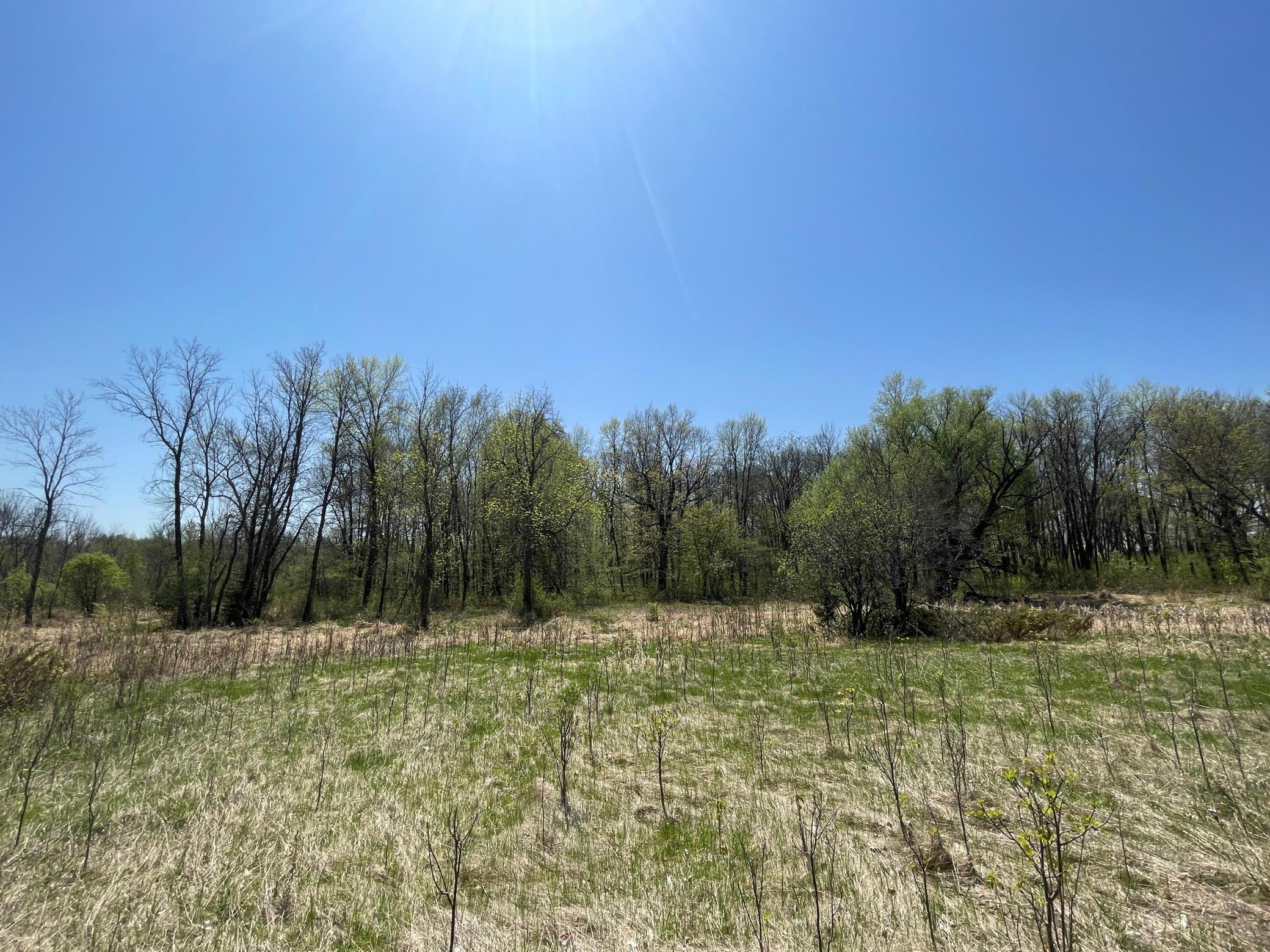 View of Land at 1xx Stark Road, Harris MN 55032, Harris (10 of 21) - Mike Wilen | Minnesota Team Real Estate