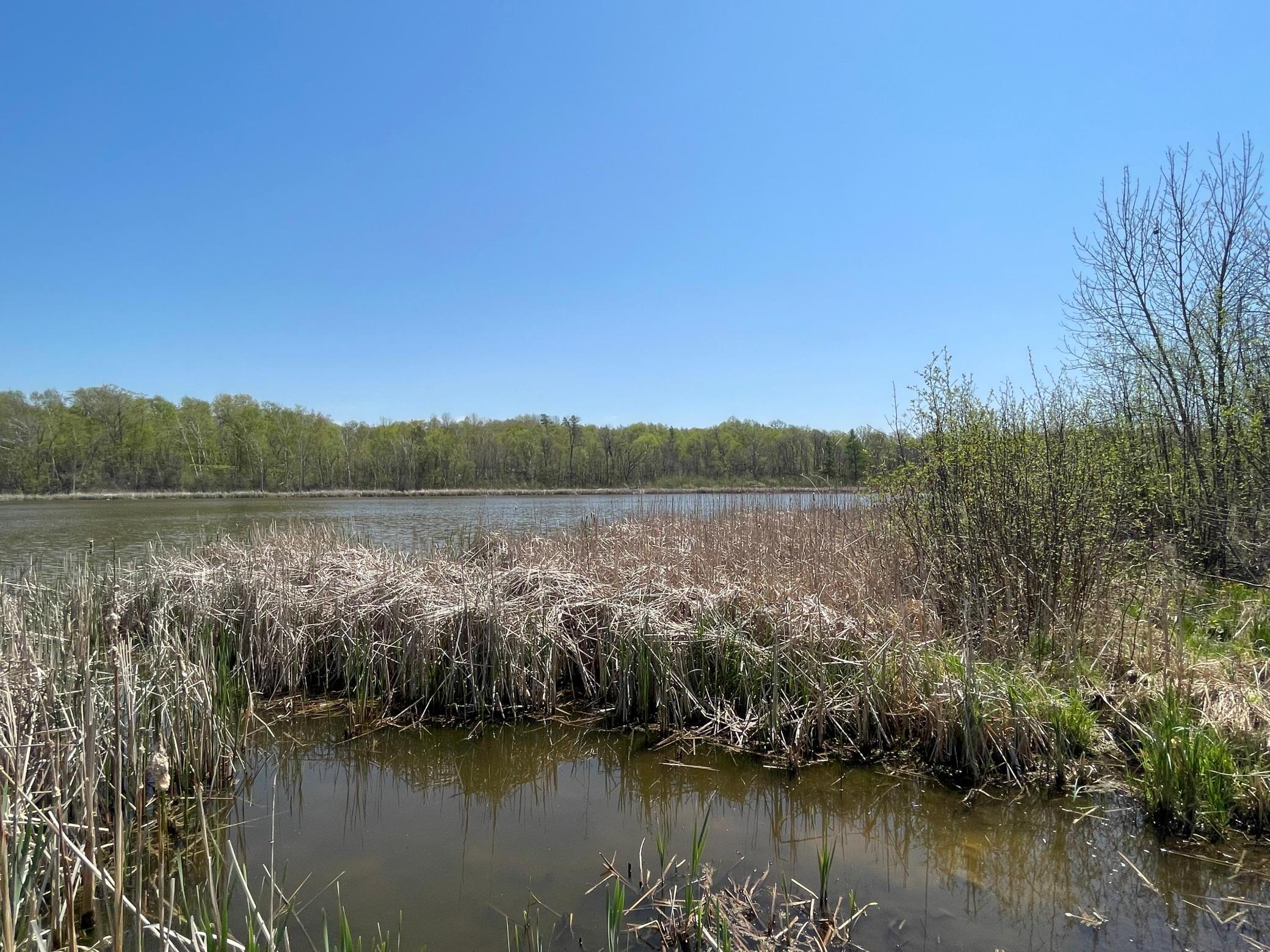 View of Land at 1xx Stark Road, Harris MN 55032, Harris (7 of 21) - Mike Wilen | Minnesota Team Real Estate