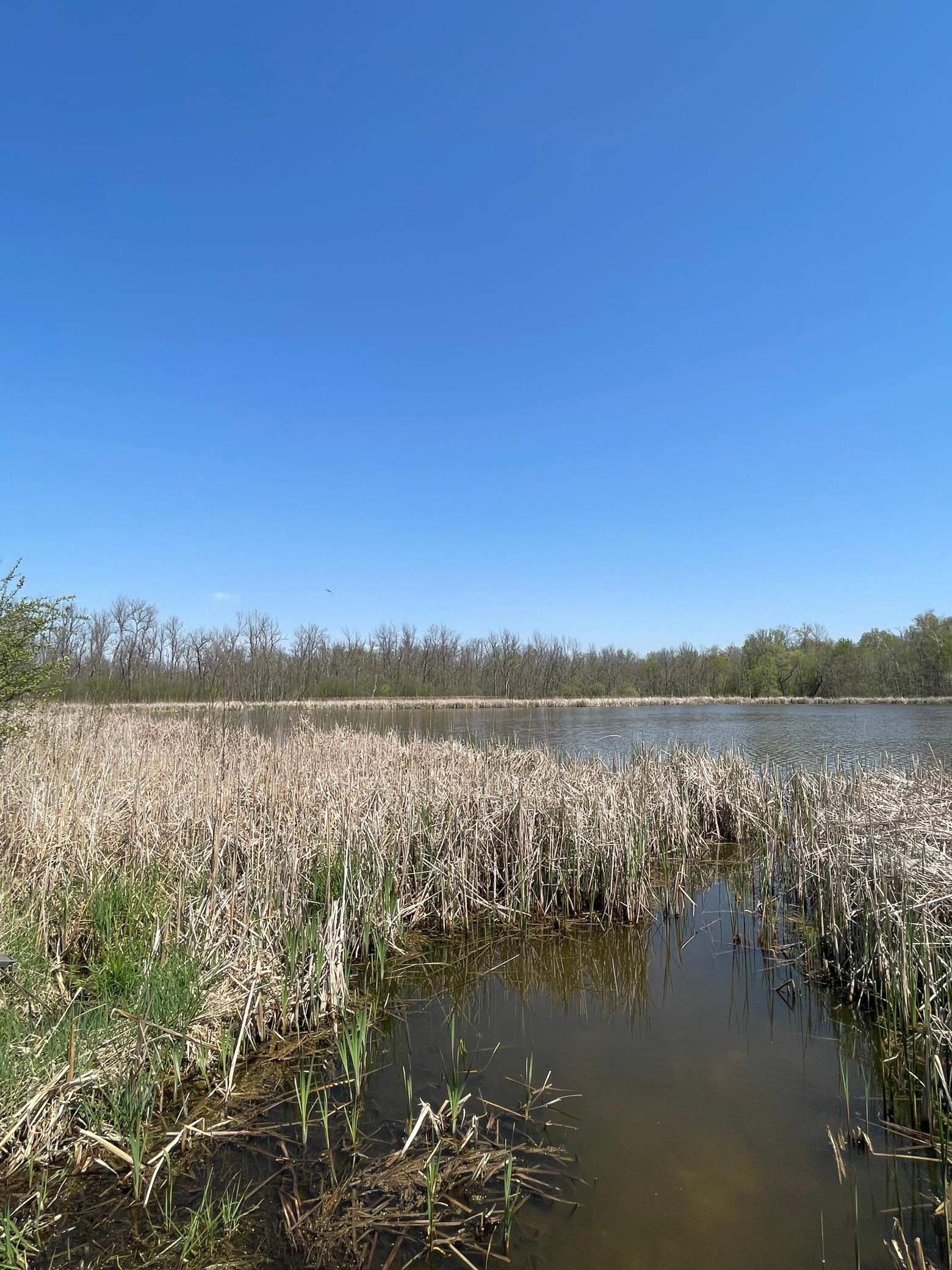 View of Land at 1xx Stark Road, Harris MN 55032, Harris (4 of 21) - Mike Wilen | Minnesota Team Real Estate
