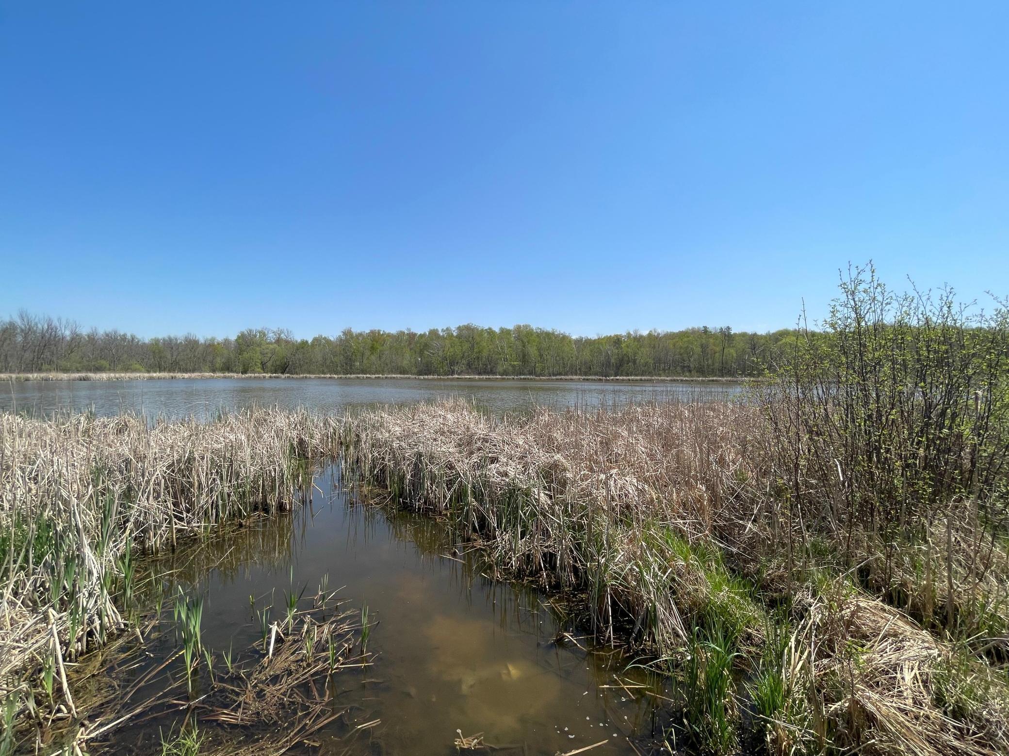View of Land at 1xx Stark Road, Harris MN 55032, Harris (6 of 21) - Mike Wilen | Minnesota Team Real Estate
