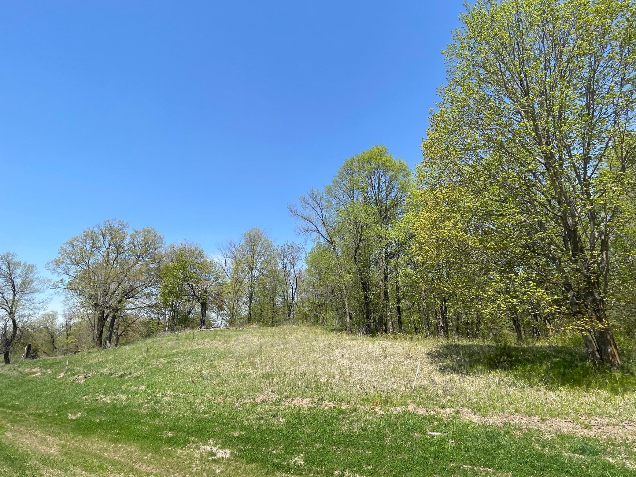 View of Land at 1xx Stark Road, Harris MN 55032, Harris (2 of 21) - Mike Wilen | Minnesota Team Real Estate