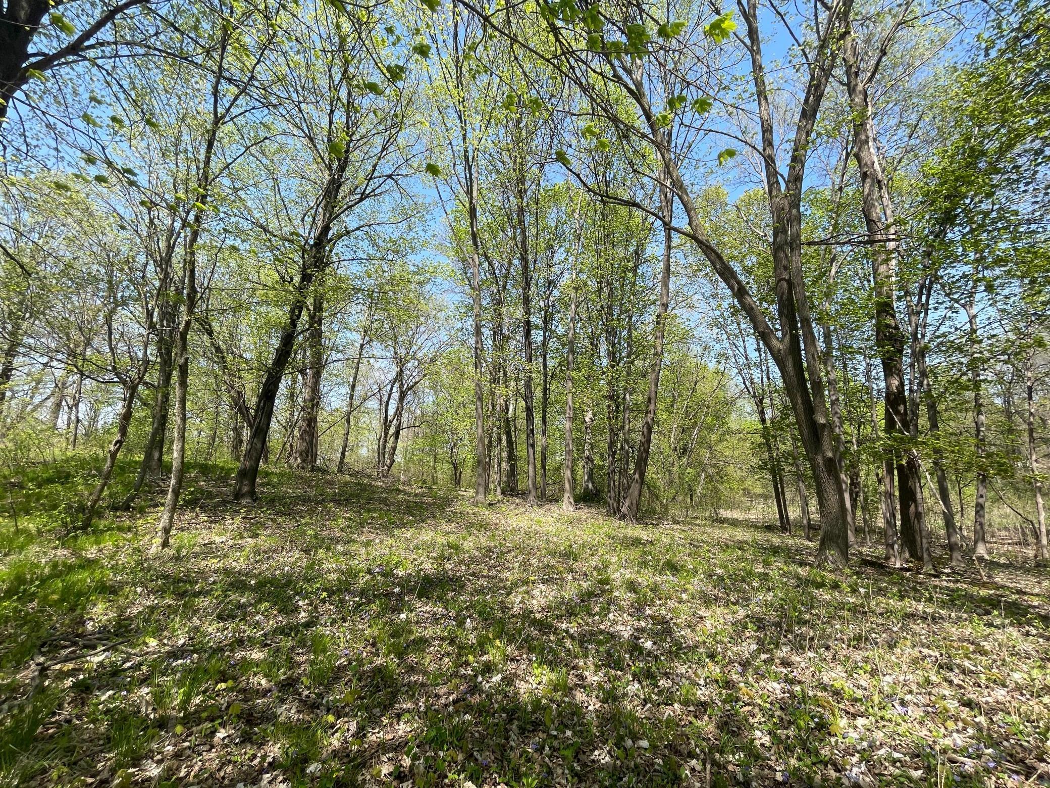View of Land at 1xx Stark Road, Harris MN 55032, Harris (18 of 21) - Mike Wilen | Minnesota Team Real Estate
