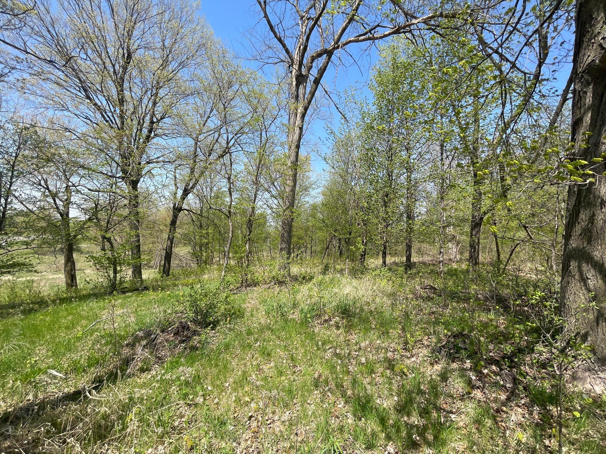 View of Land at 1xx Stark Road, Harris MN 55032, Harris (17 of 21) - Mike Wilen | Minnesota Team Real Estate