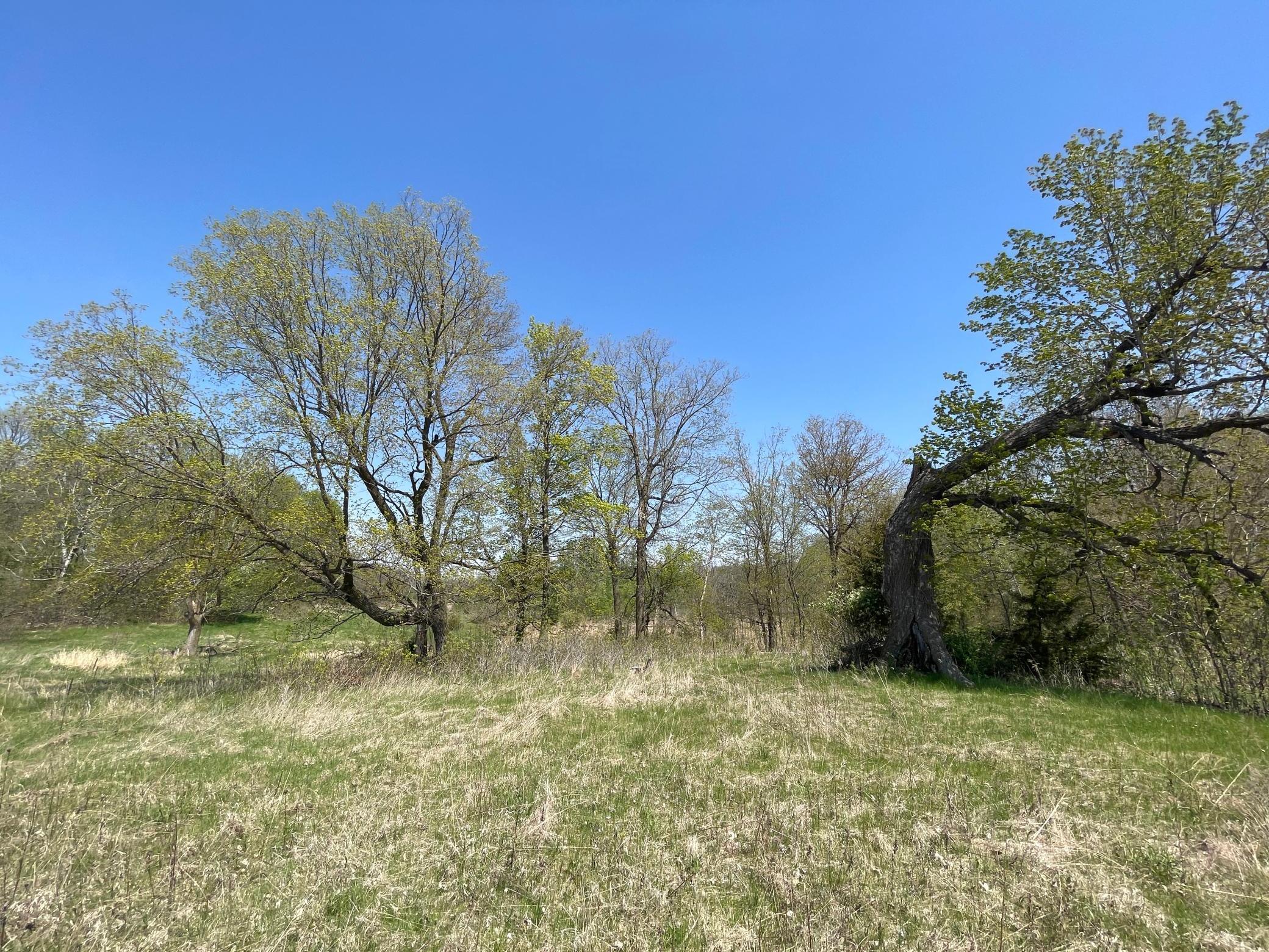View of Land at 1xx Stark Road, Harris MN 55032, Harris (16 of 21) - Mike Wilen | Minnesota Team Real Estate