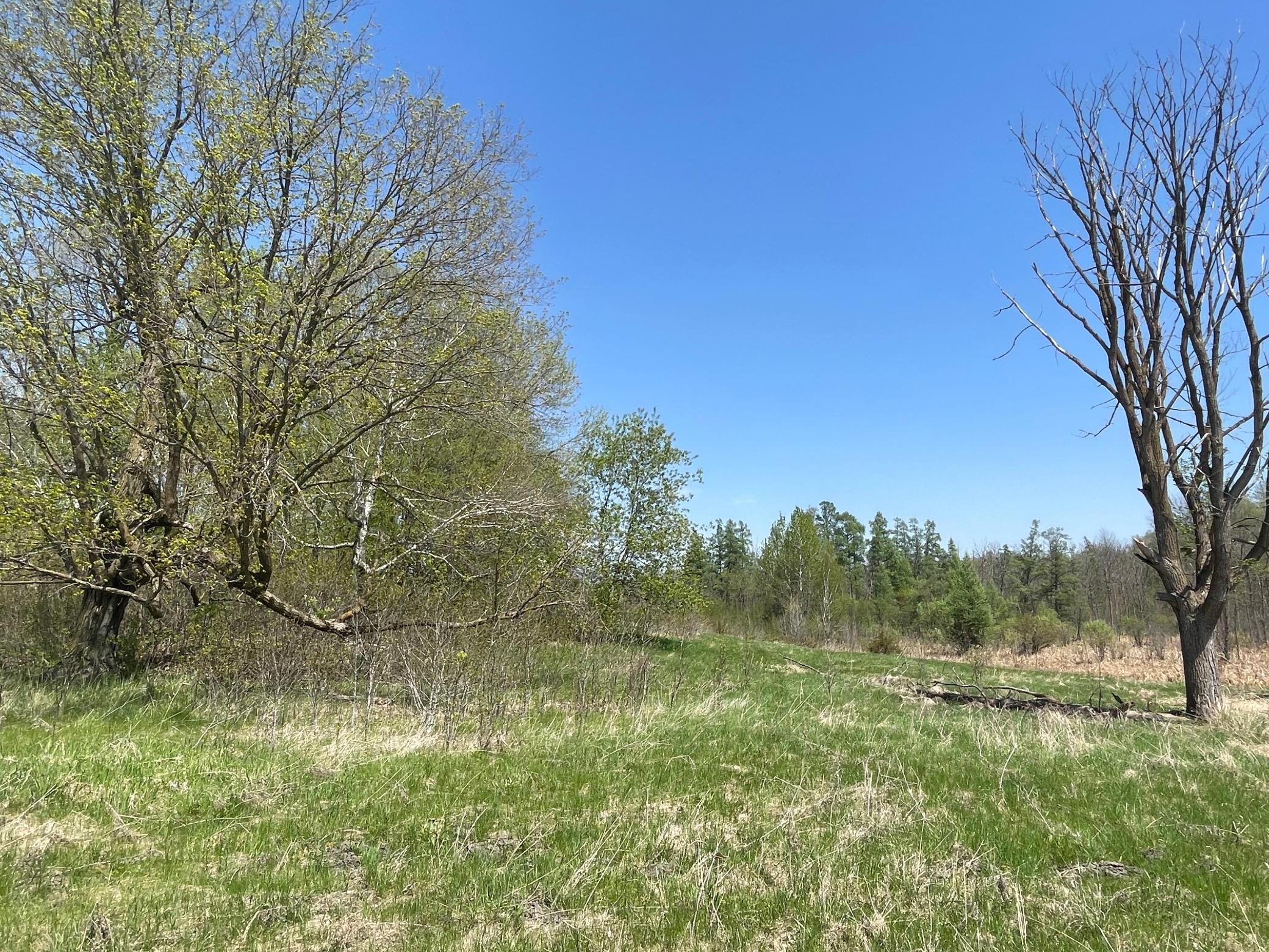 View of Land at 1xx Stark Road, Harris MN 55032, Harris (15 of 21) - Mike Wilen | Minnesota Team Real Estate