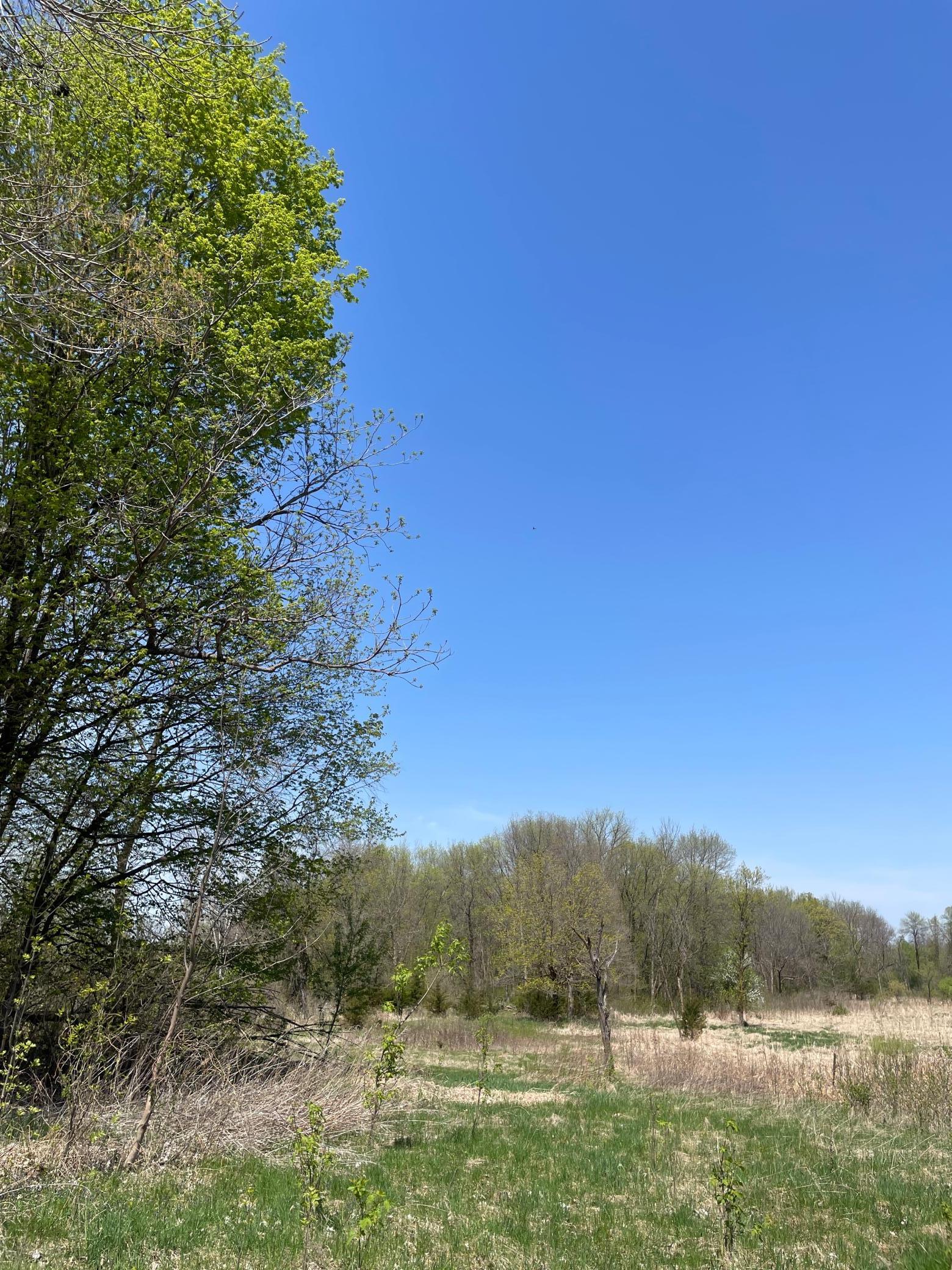 View of Land at 1xx Stark Road, Harris MN 55032, Harris (13 of 21) - Mike Wilen | Minnesota Team Real Estate