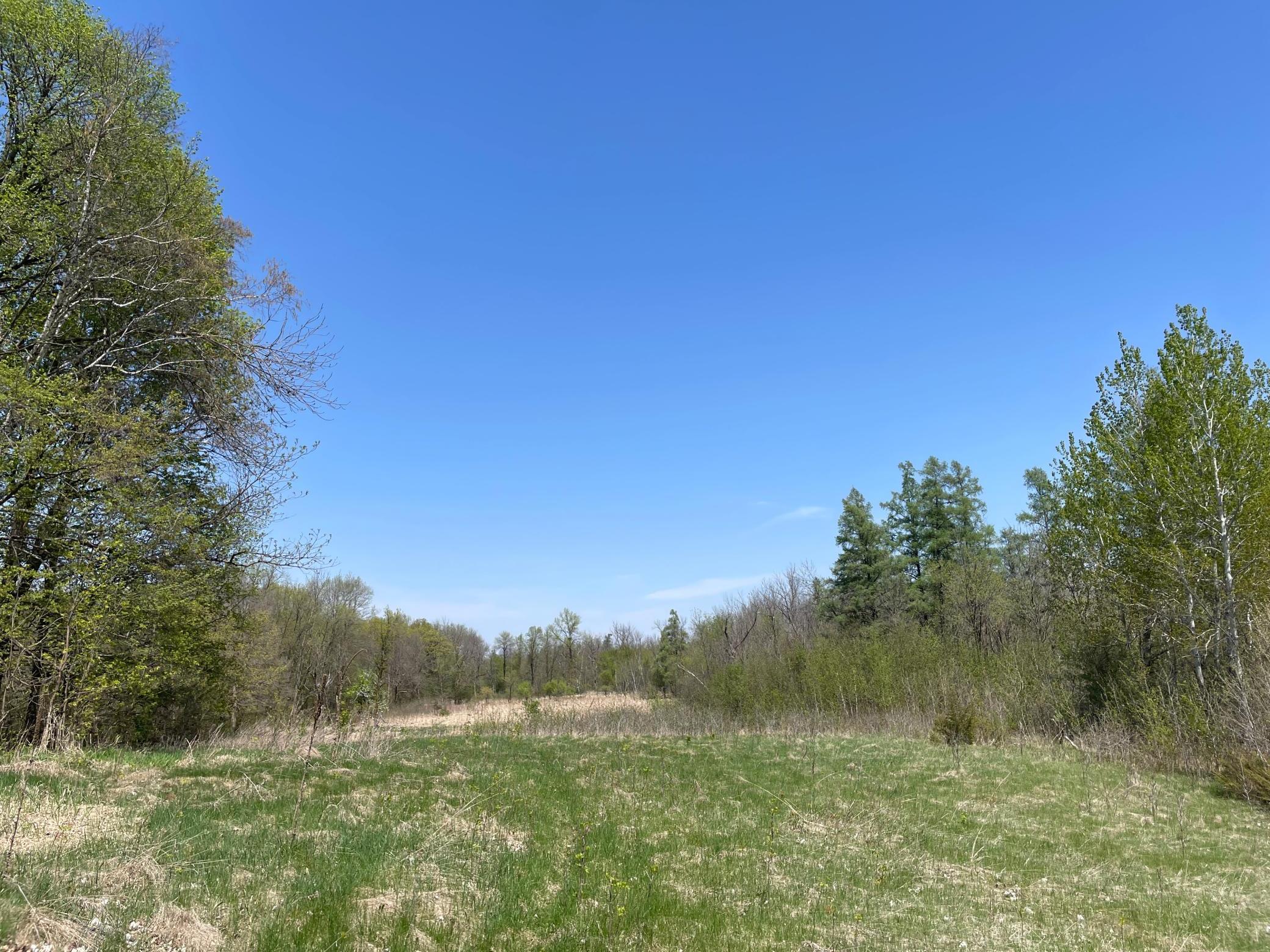 View of Land at 1xx Stark Road, Harris MN 55032, Harris (11 of 21) - Mike Wilen | Minnesota Team Real Estate