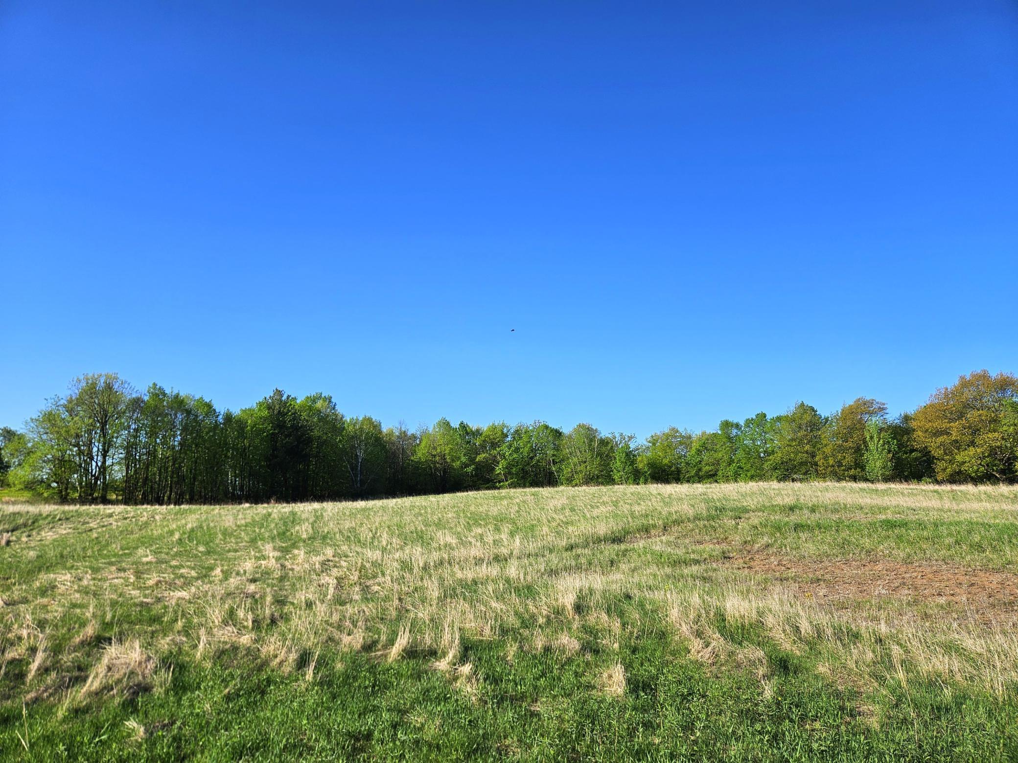 View of Land at 5679 140th Street, Milaca MN 56353, Milaca - Mike Wilen | Minnesota Team Real Estate