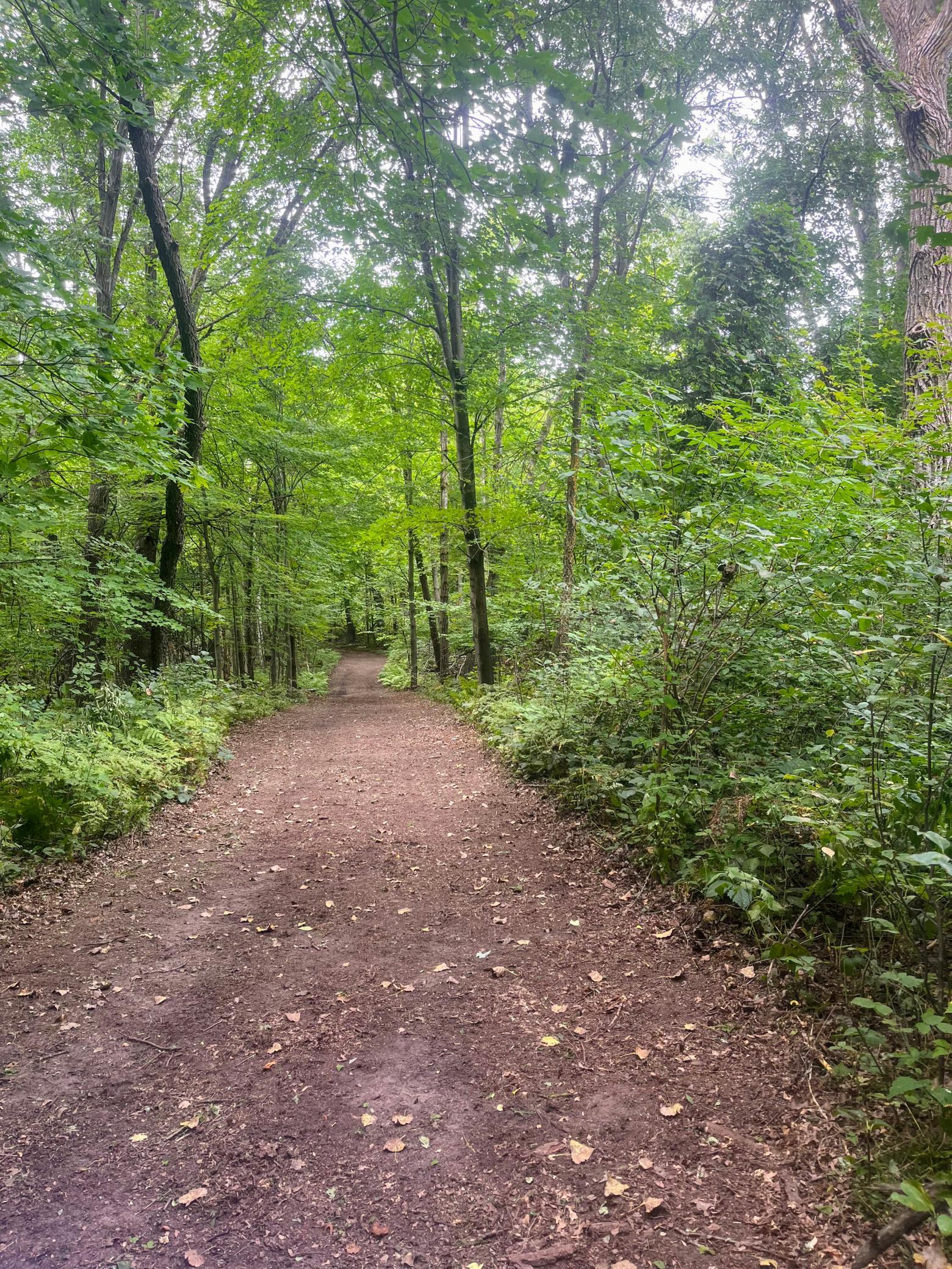 View of Land at 76xx 470th Street, Harris MN 55032, Harris - Mike Wilen | Minnesota Team Real Estate