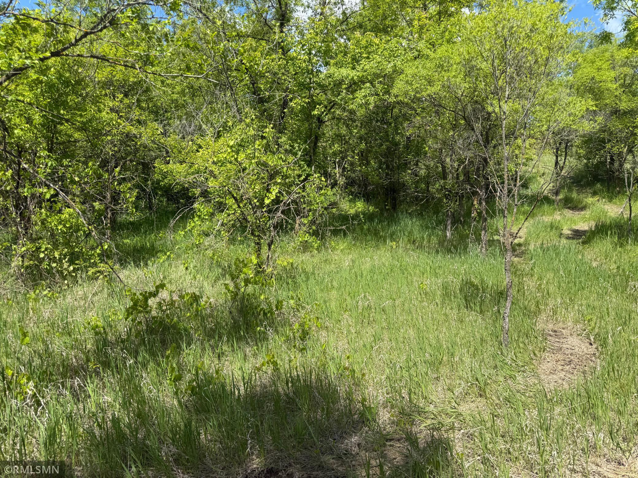 View of Land at 10485 4th Street, Hanover MN 55341, Hanover (4 of 8) - Mike Wilen | Minnesota Team Real Estate