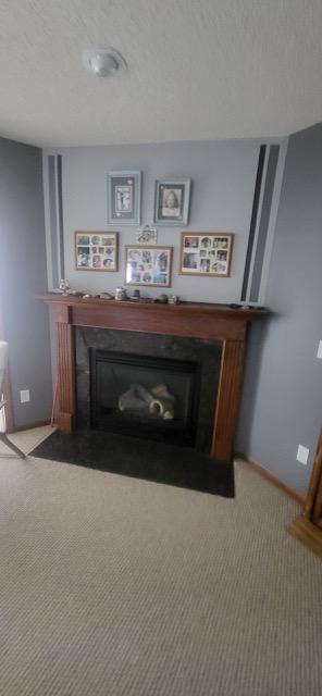 View of Residential at 12122 Bataan Street, Blaine MN 55449, Blaine - Mike Wilen | Minnesota Team Real Estate
