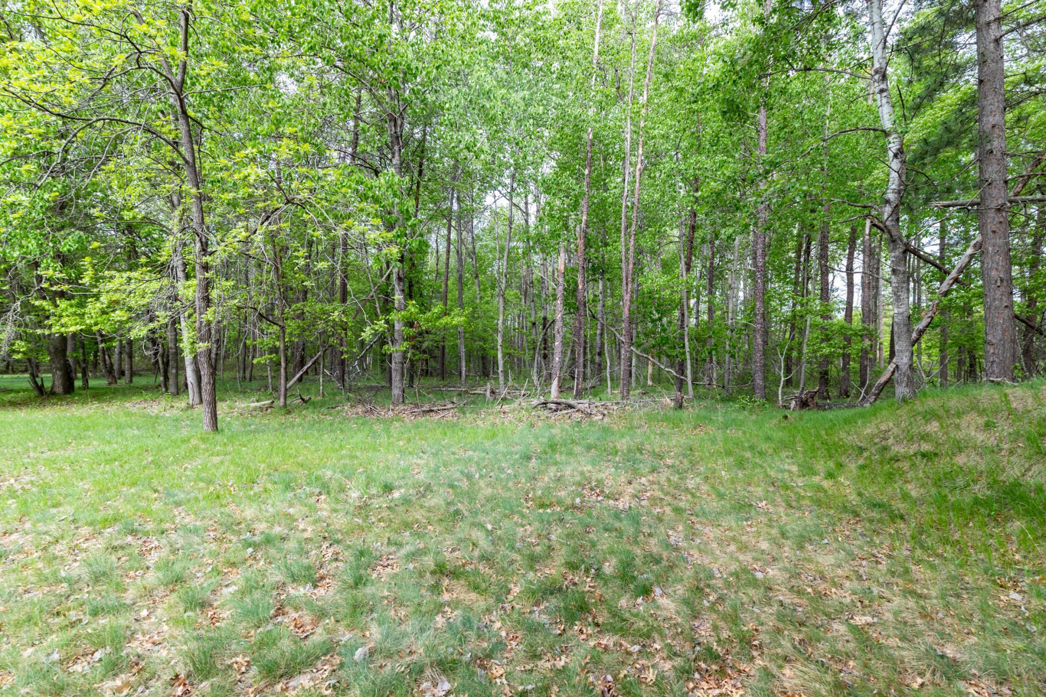 View of Land at 5394 Clearwater Road, Baxter MN 56425, Baxter (10 of 15) - Mike Wilen | Minnesota Team Real Estate