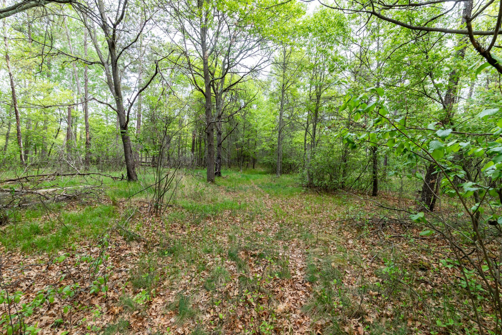 View of Land at 5394 Clearwater Road, Baxter MN 56425, Baxter (9 of 15) - Mike Wilen | Minnesota Team Real Estate