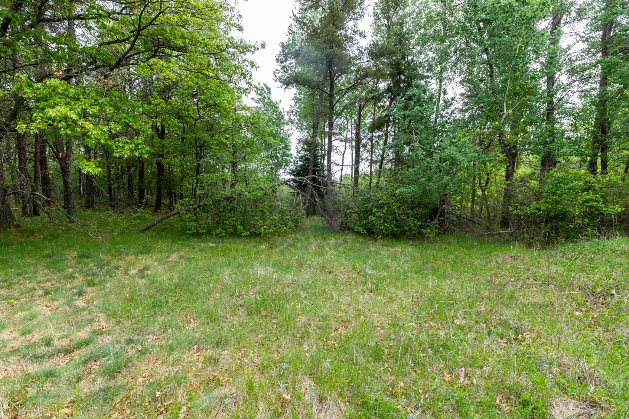 View of Land at 5394 Clearwater Road, Baxter MN 56425, Baxter (8 of 15) - Mike Wilen | Minnesota Team Real Estate