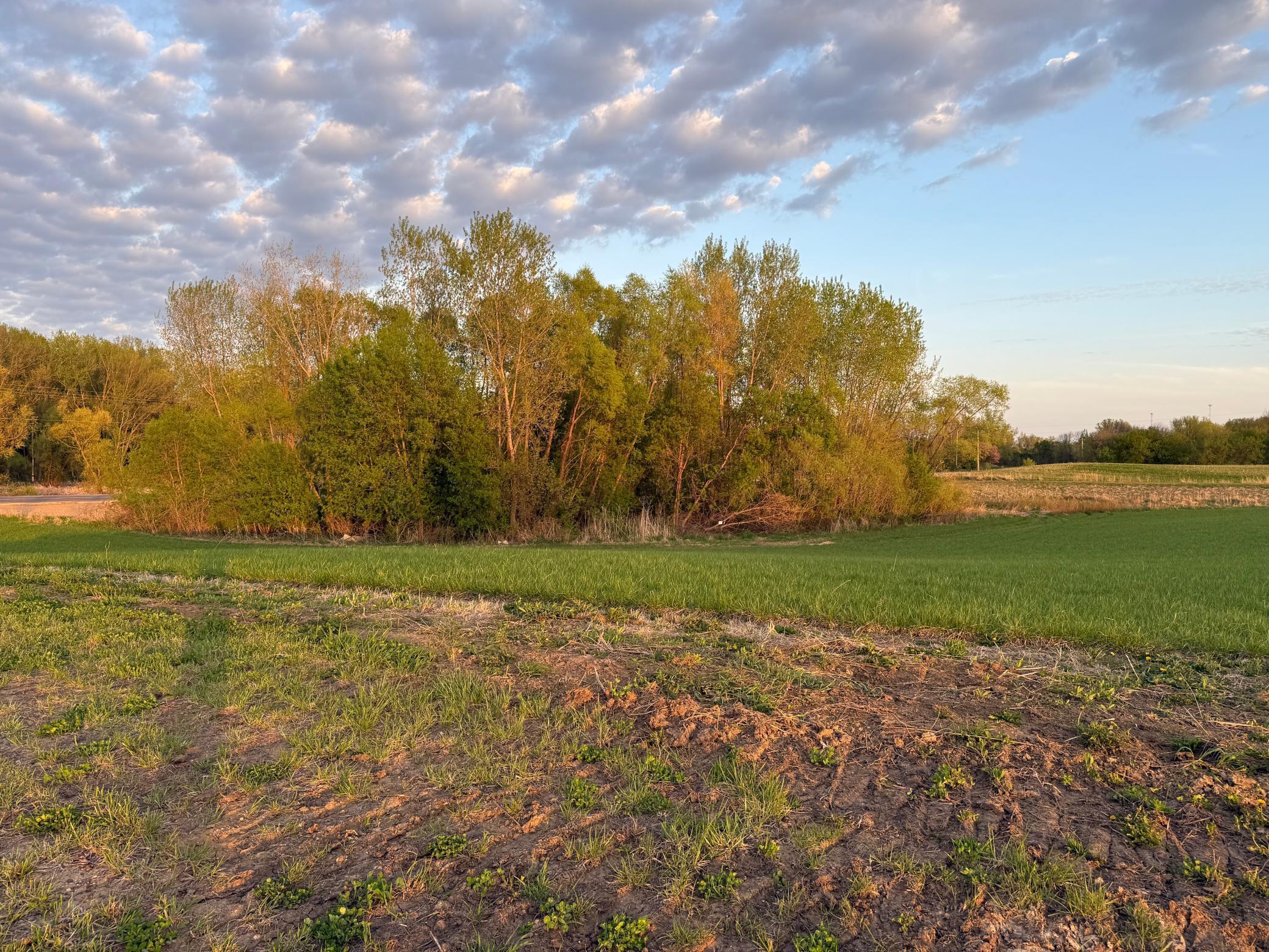 View of Land at 7981 207th Street, Prior Lake MN 55372, Prior Lake - Mike Wilen | Minnesota Team Real Estate