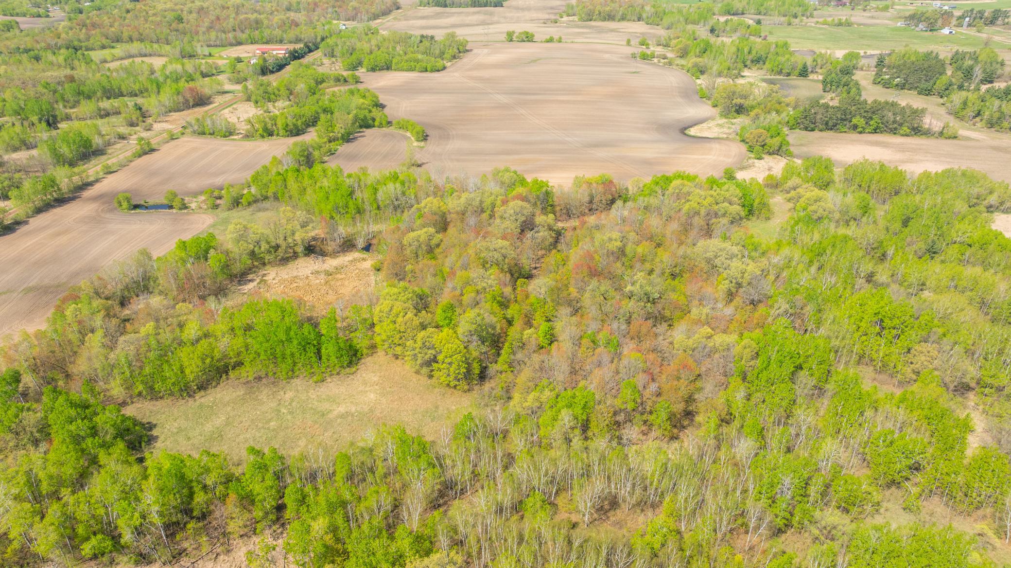 View of Land at TBD-80+/-AC 470th Street, Sunrise Twp MN 55032, Sunrise Twp - Mike Wilen | Minnesota Team Real Estate