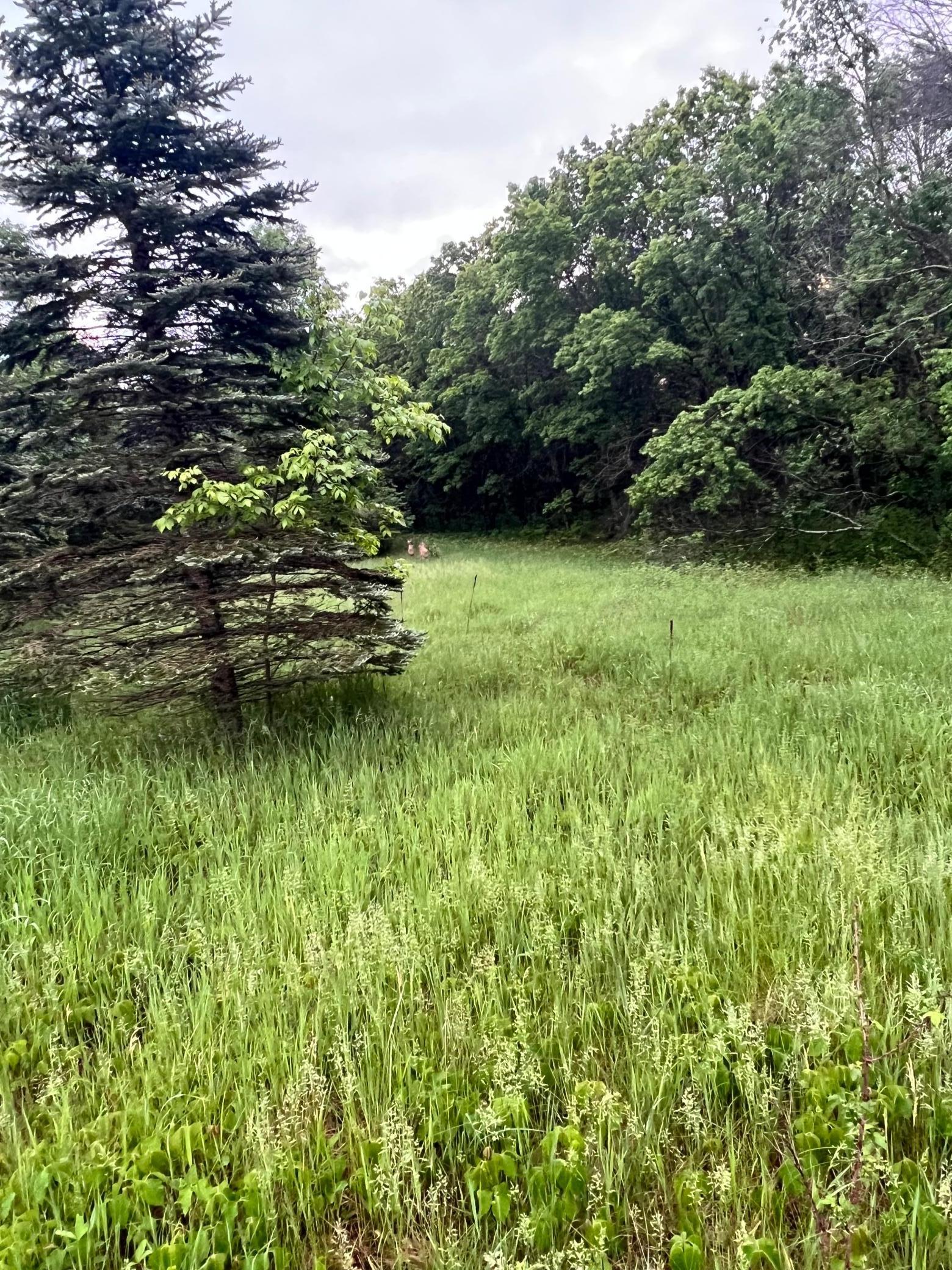 View of Land at TBD 174th Street, Big Lake MN 55309, Big Lake - Mike Wilen | Minnesota Team Real Estate