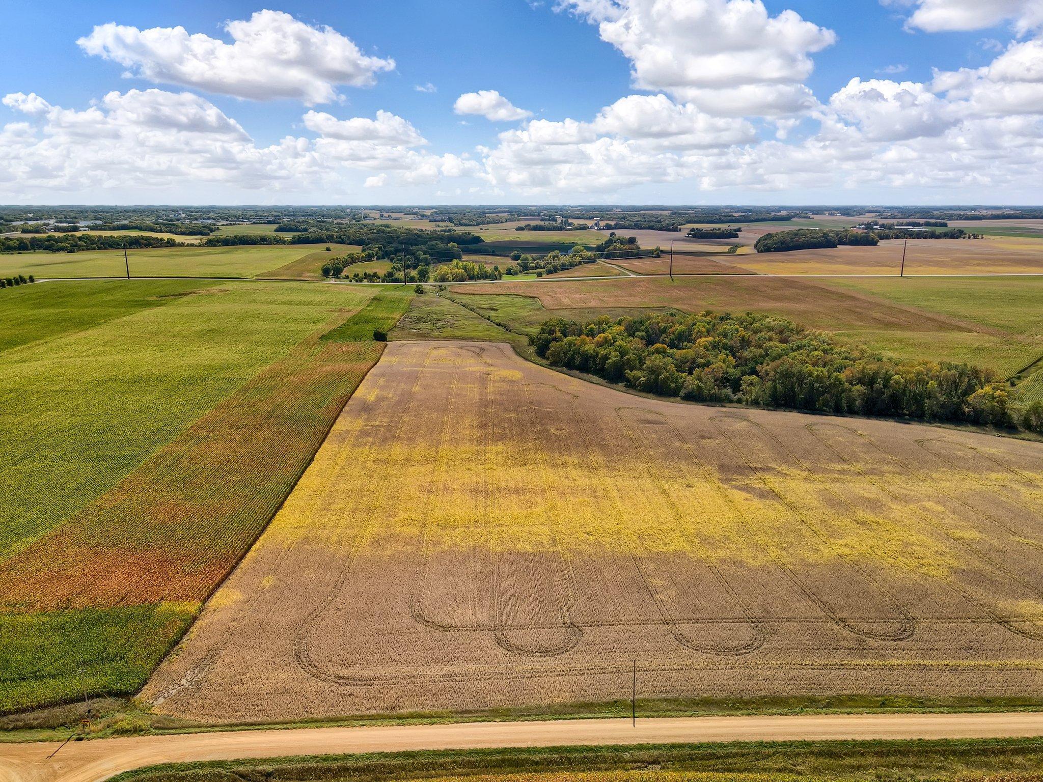 View of Land at 3763 255th Street, New Prague MN 56071, New Prague (2 of 2) - Mike Wilen | Minnesota Team Real Estate