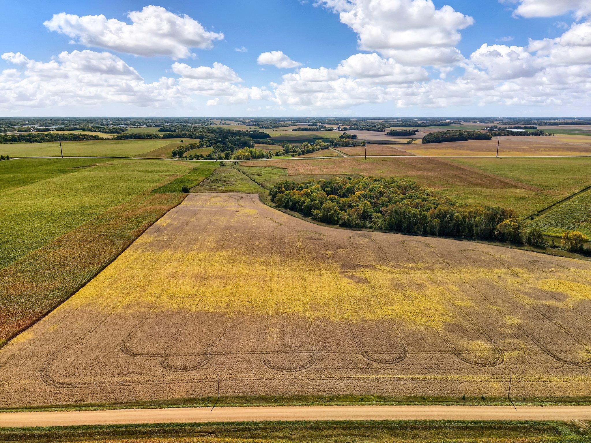 View of Land at 3787 255th Street, New Prague MN 56071, New Prague (2 of 2) - Mike Wilen | Minnesota Team Real Estate