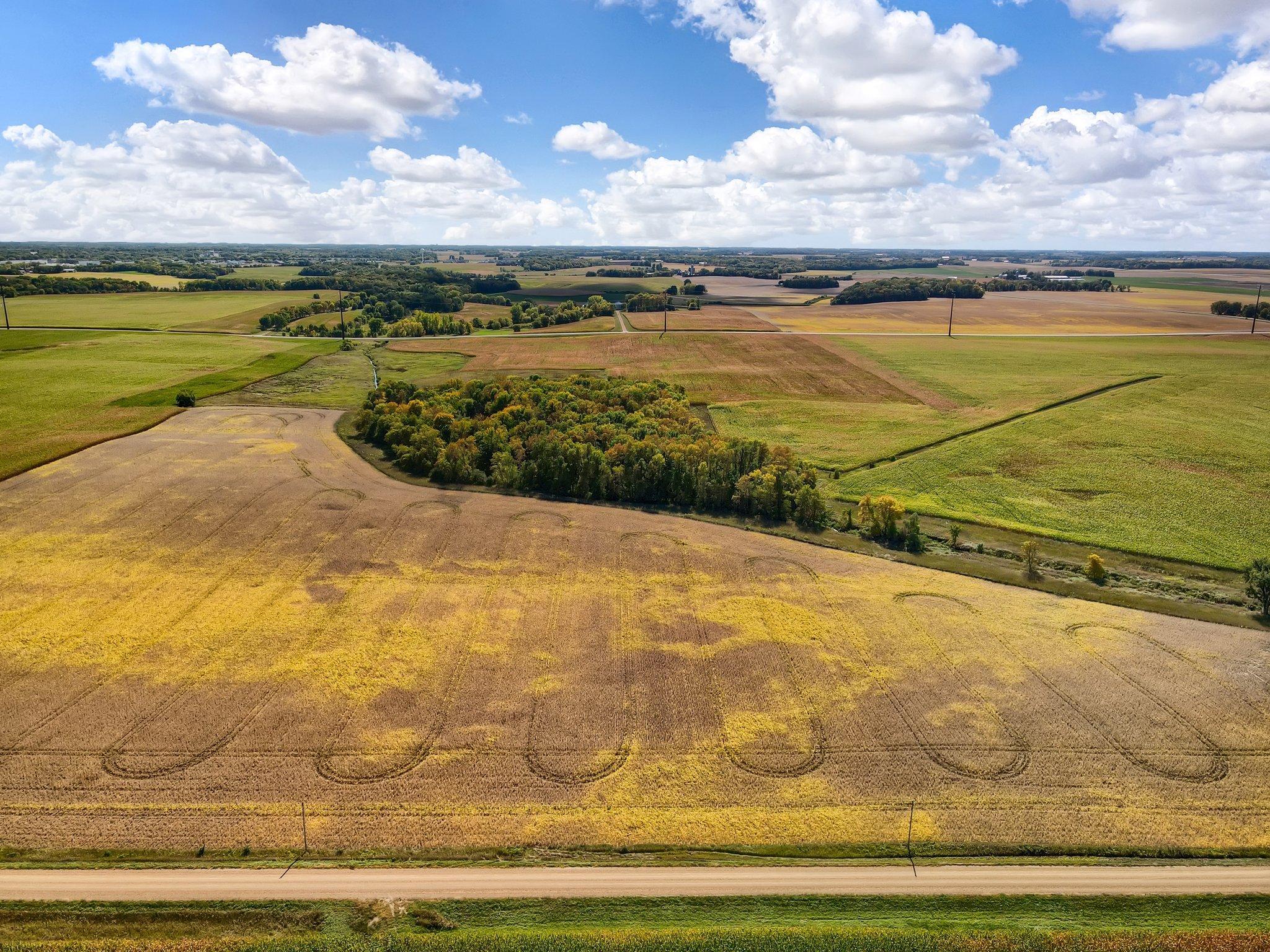 View of Land at 3831 255th Street, New Prague MN 56071, New Prague (2 of 2) - Mike Wilen | Minnesota Team Real Estate