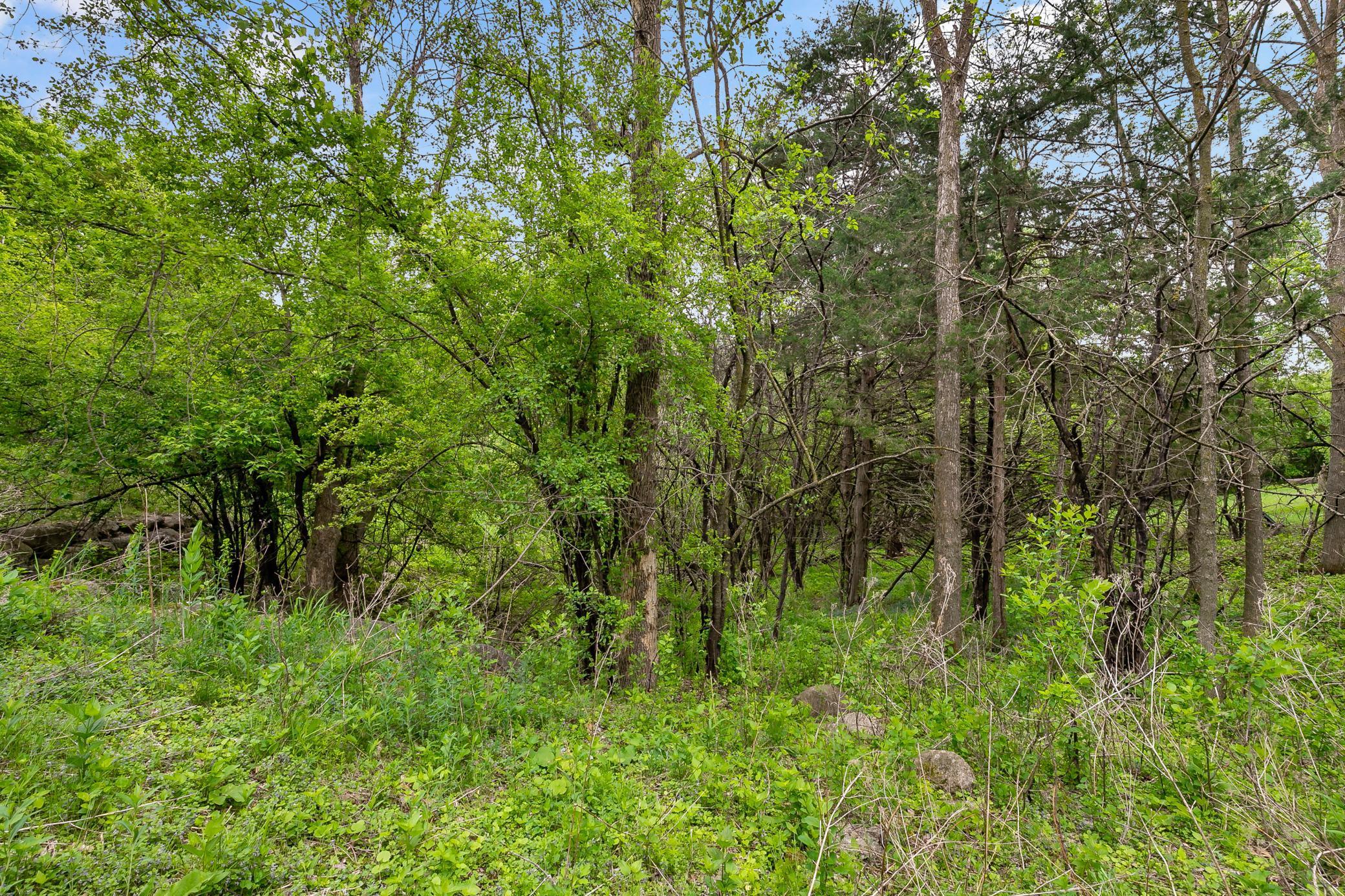 View of Land at 6591 Galpin Boulevard, Chanhassen MN 55331, Chanhassen (19 of 20) - Mike Wilen | Minnesota Team Real Estate