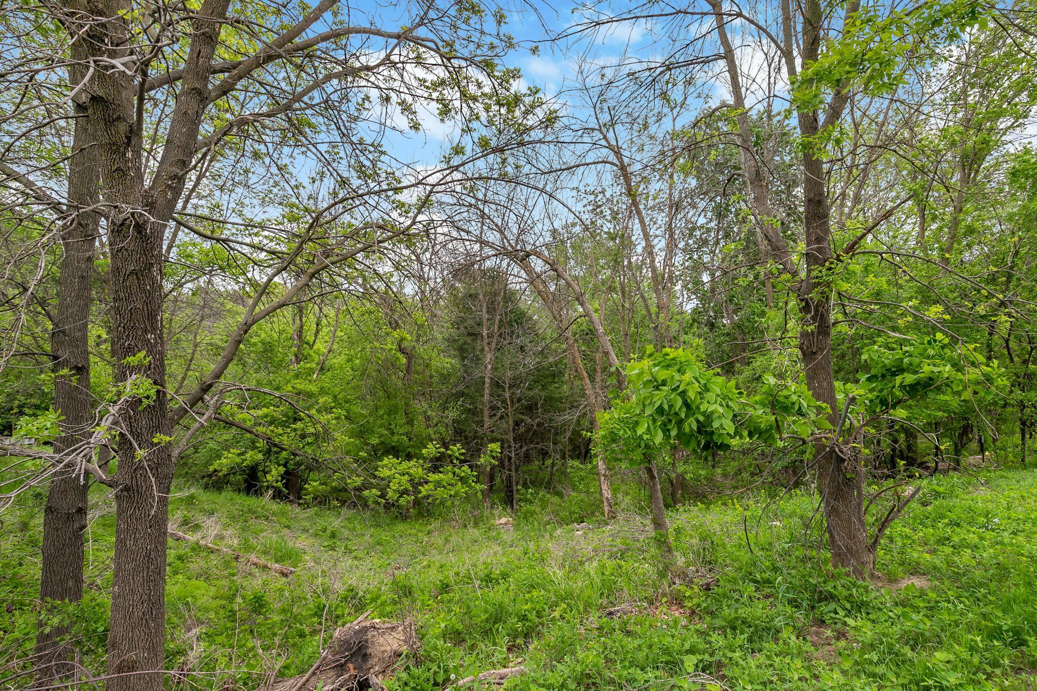View of Land at 6591 Galpin Boulevard, Chanhassen MN 55331, Chanhassen (18 of 20) - Mike Wilen | Minnesota Team Real Estate