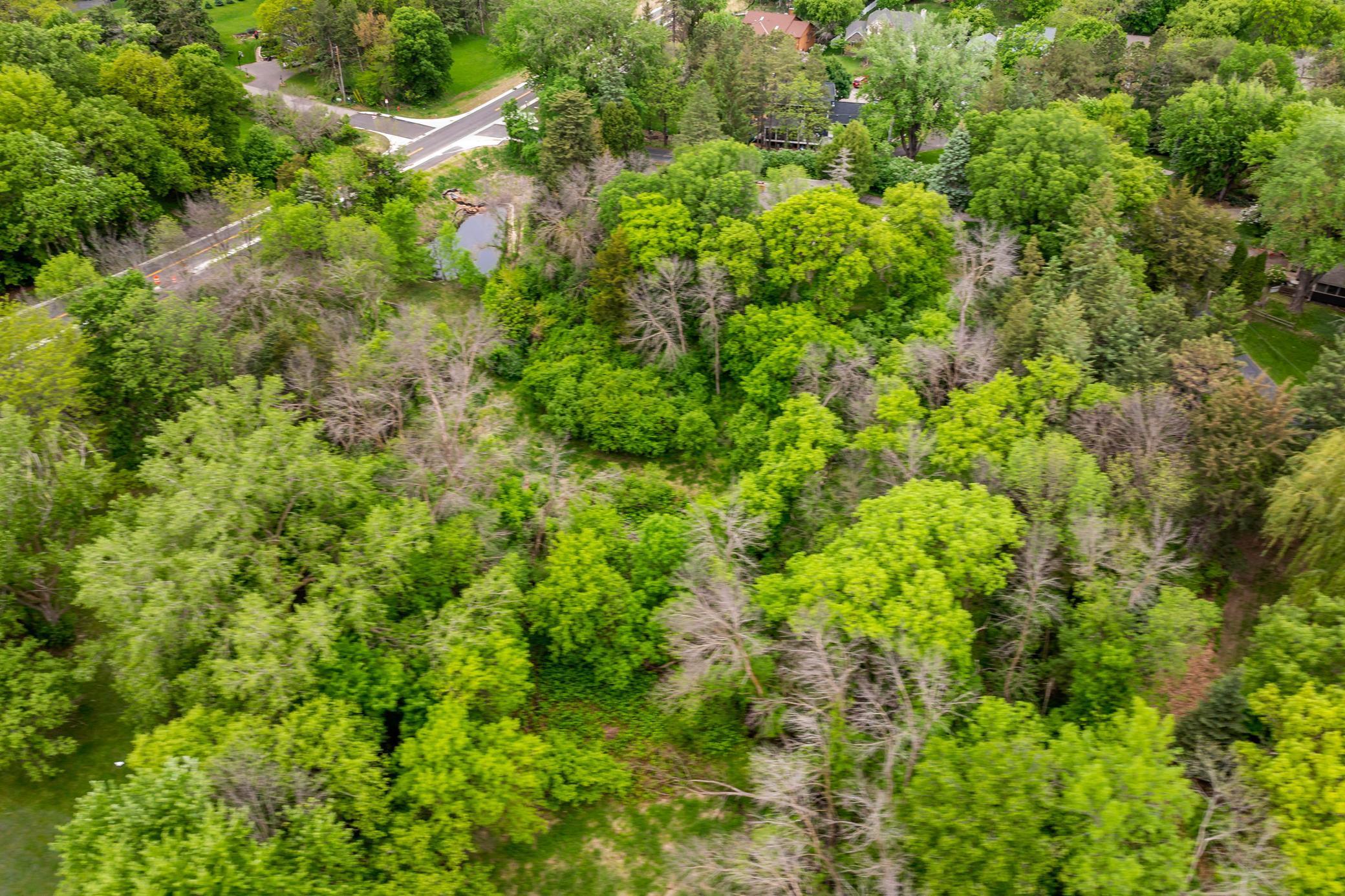 View of Land at 6591 Galpin Boulevard, Chanhassen MN 55331, Chanhassen (4 of 20) - Mike Wilen | Minnesota Team Real Estate