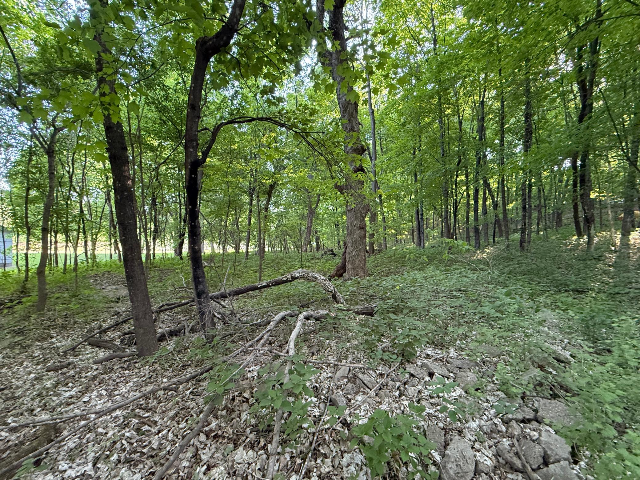 View of Land at xxxx Jalger Avenue, Buffalo MN 55313, Buffalo (4 of 8) - Mike Wilen | Minnesota Team Real Estate