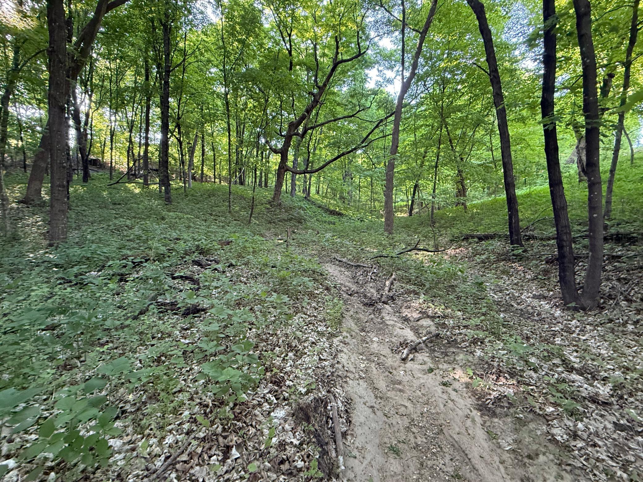 View of Land at xxxx Jalger Avenue, Buffalo MN 55313, Buffalo (3 of 8) - Mike Wilen | Minnesota Team Real Estate