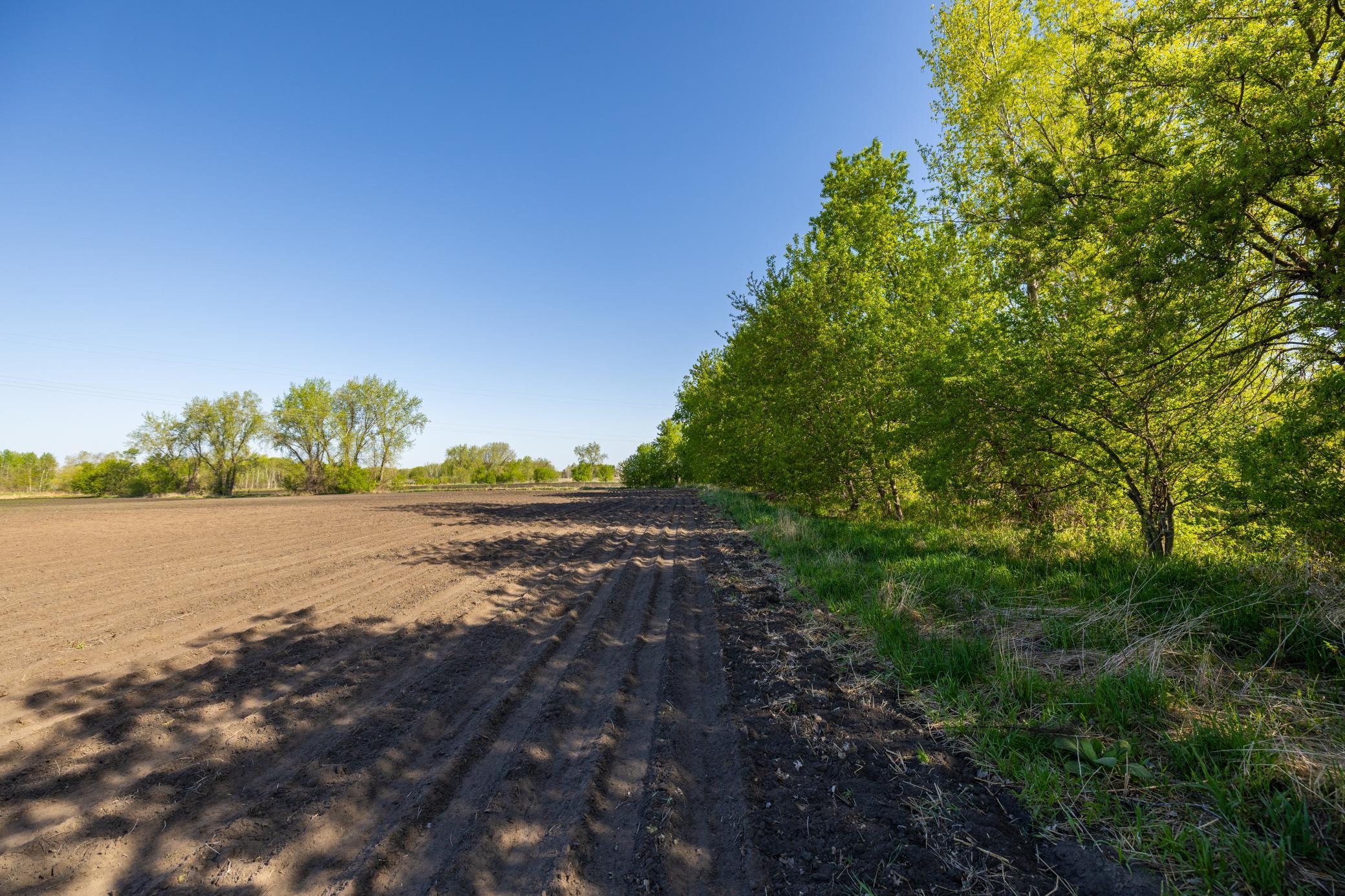 View of Land at Parcel A 24AC 465th Street, Sunrise Twp MN 55032, Sunrise Twp - Mike Wilen | Minnesota Team Real Estate