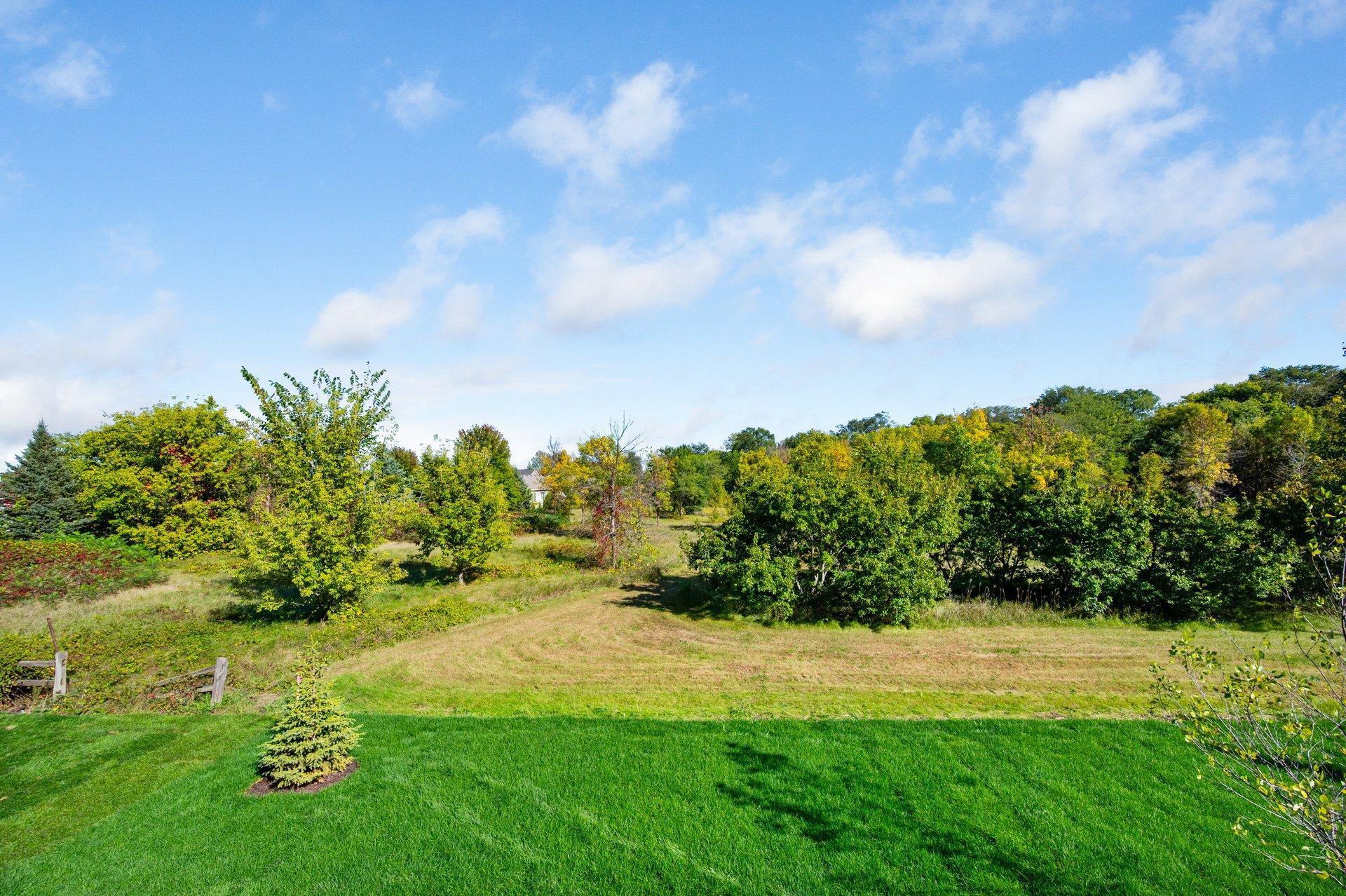 View of Residential at 1969 Lusitano Street, Shakopee MN 55379, Shakopee (5 of 70) - Mike Wilen | Minnesota Team Real Estate