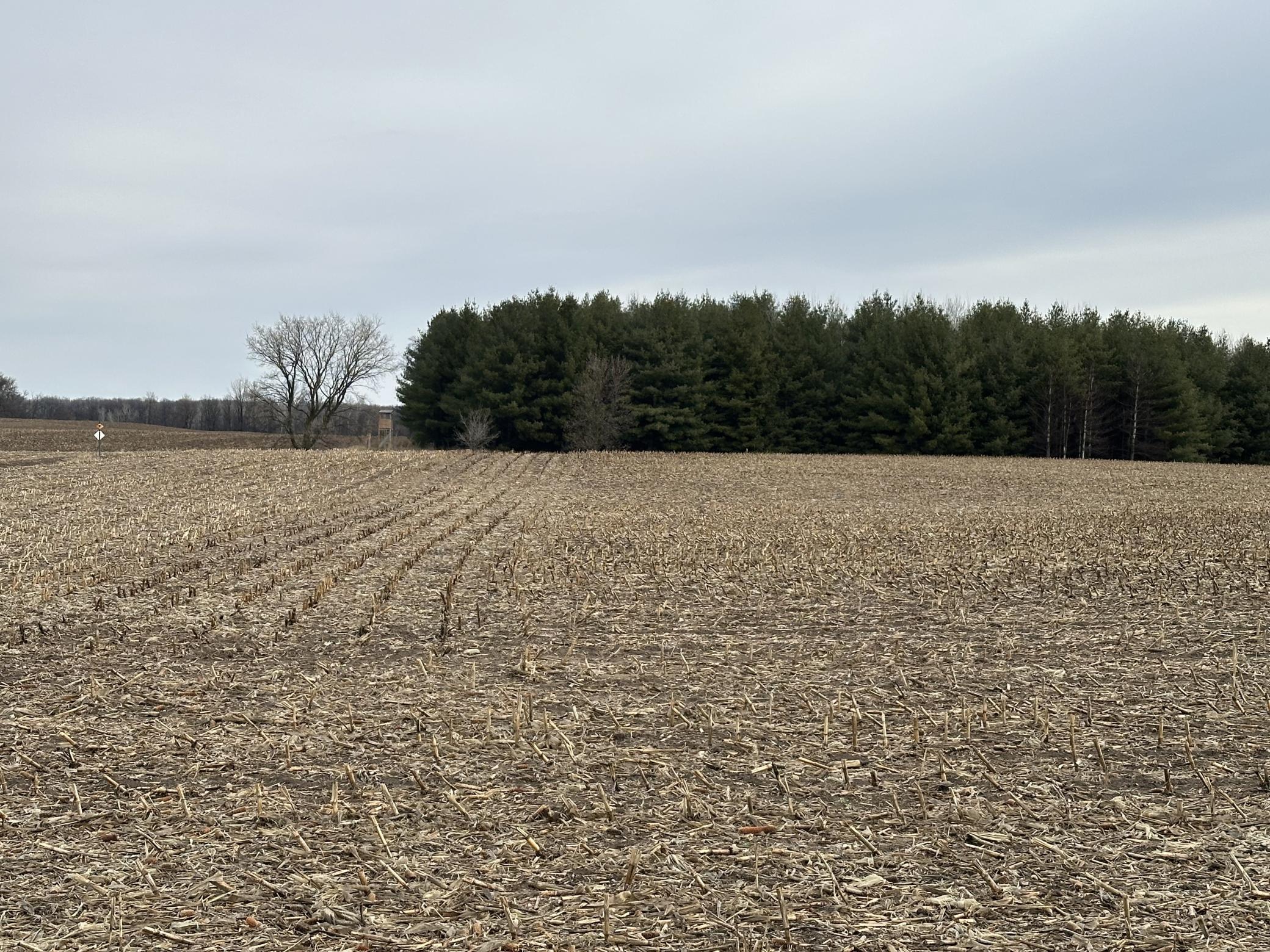 View of Land at TBD 60th Ave, Princeton MN 55371, Princeton - Mike Wilen | Minnesota Team Real Estate