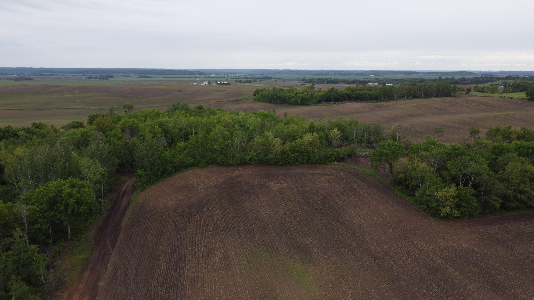 View of Land at TBD 250th st E, Hampton MN 55031, Hampton (3 of 15) - Mike Wilen | Minnesota Team Real Estate