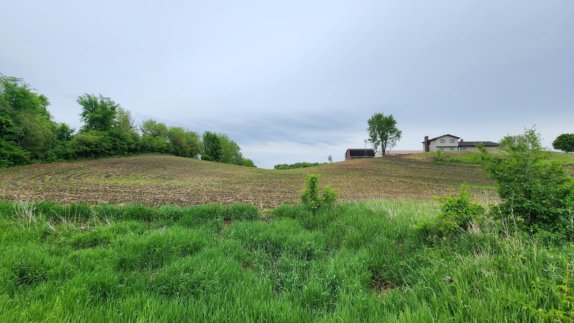 View of Land at TBD 250th st E, Hampton MN 55031, Hampton (6 of 15) - Mike Wilen | Minnesota Team Real Estate